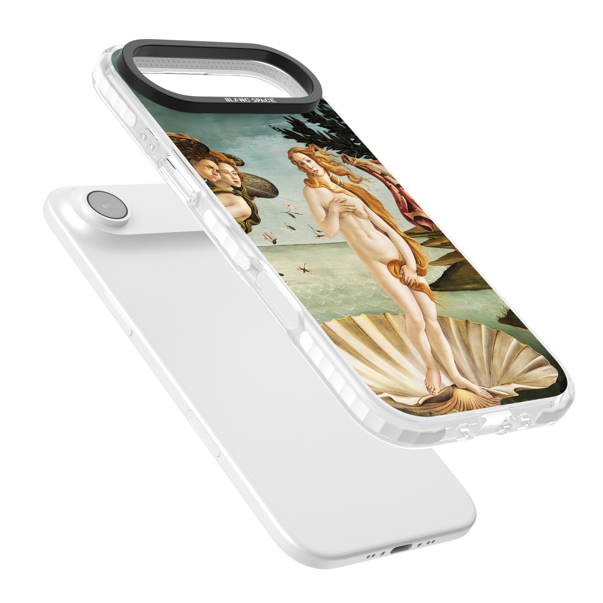 The Birth of Venus - Sandro Botticelli iPhone 17 Air Impact Pro Clear Phone Case Colours