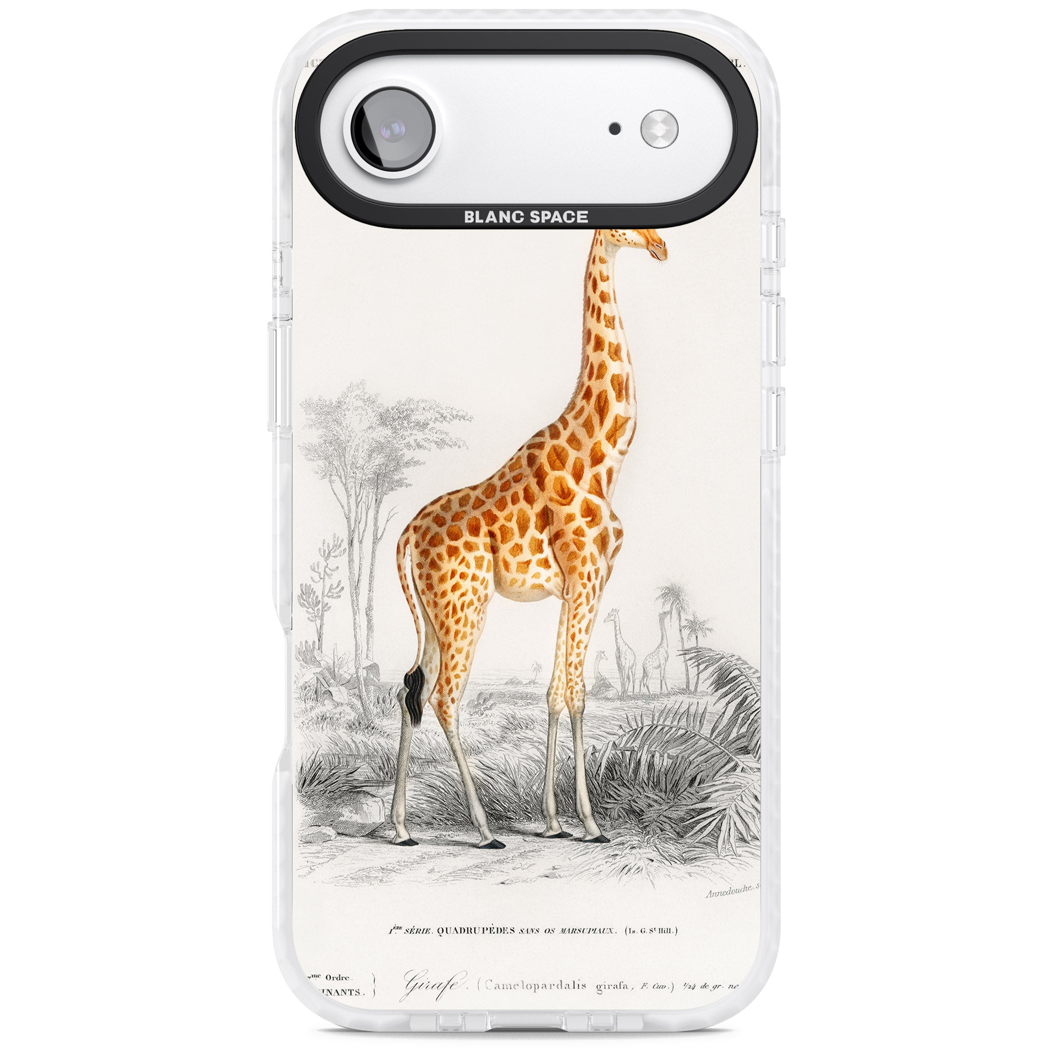 Vintage Giraffe Art iPhone 17 Air Impact Pro Clear Phone Case