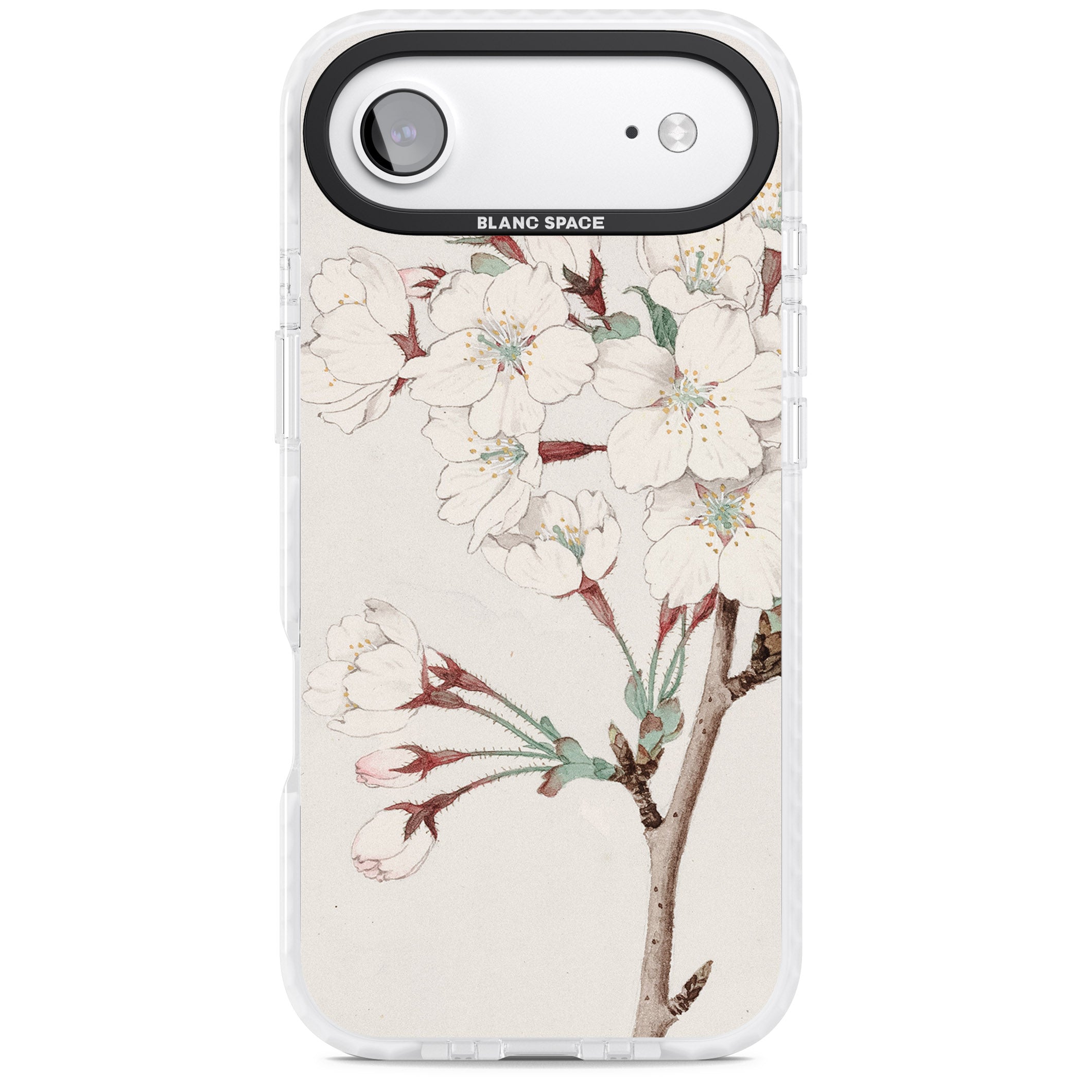 Vintage Japanese Illustrations Cherry Blossoms iPhone 17 Air Impact Pro Clear Phone Case