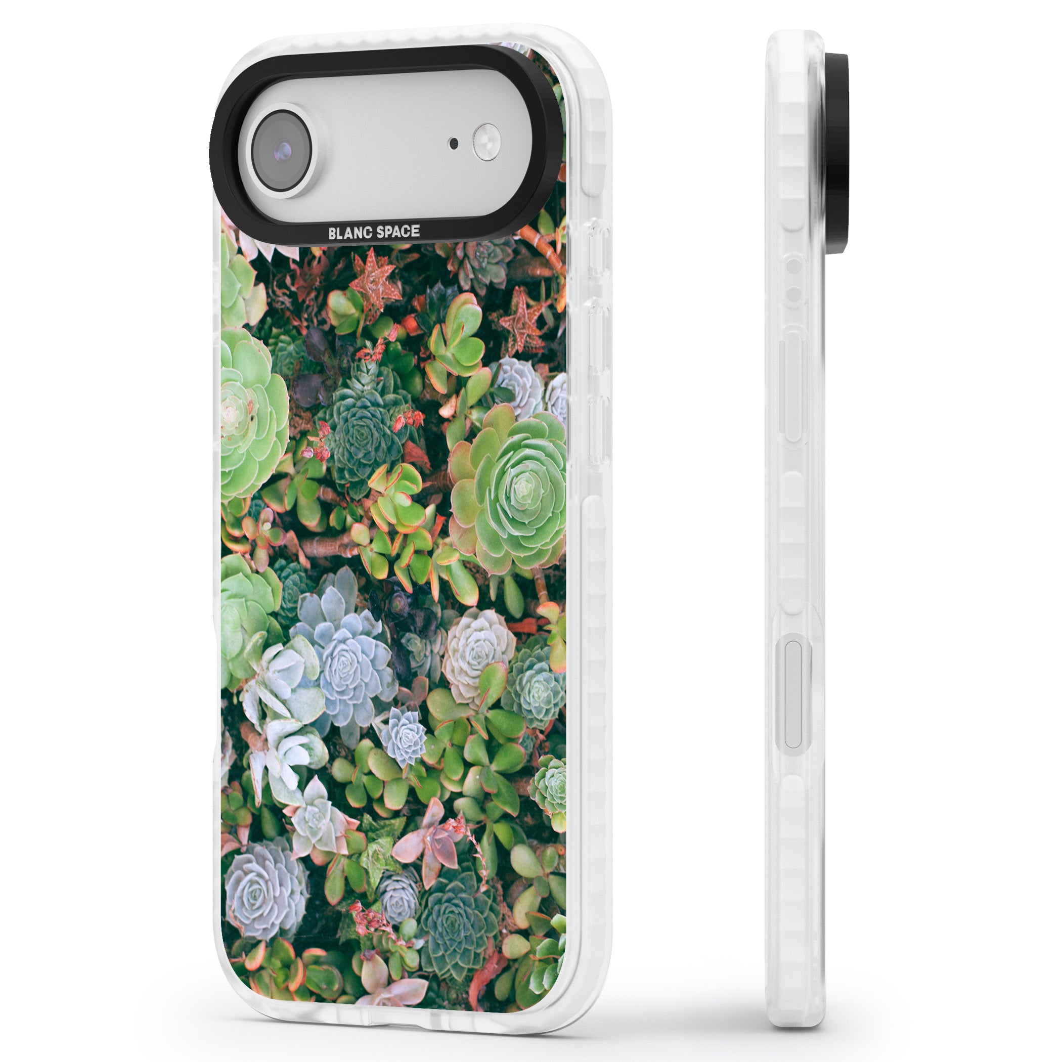 Succulent Garden iPhone 17 Air Impact Pro Clear Phone Case Side Profile