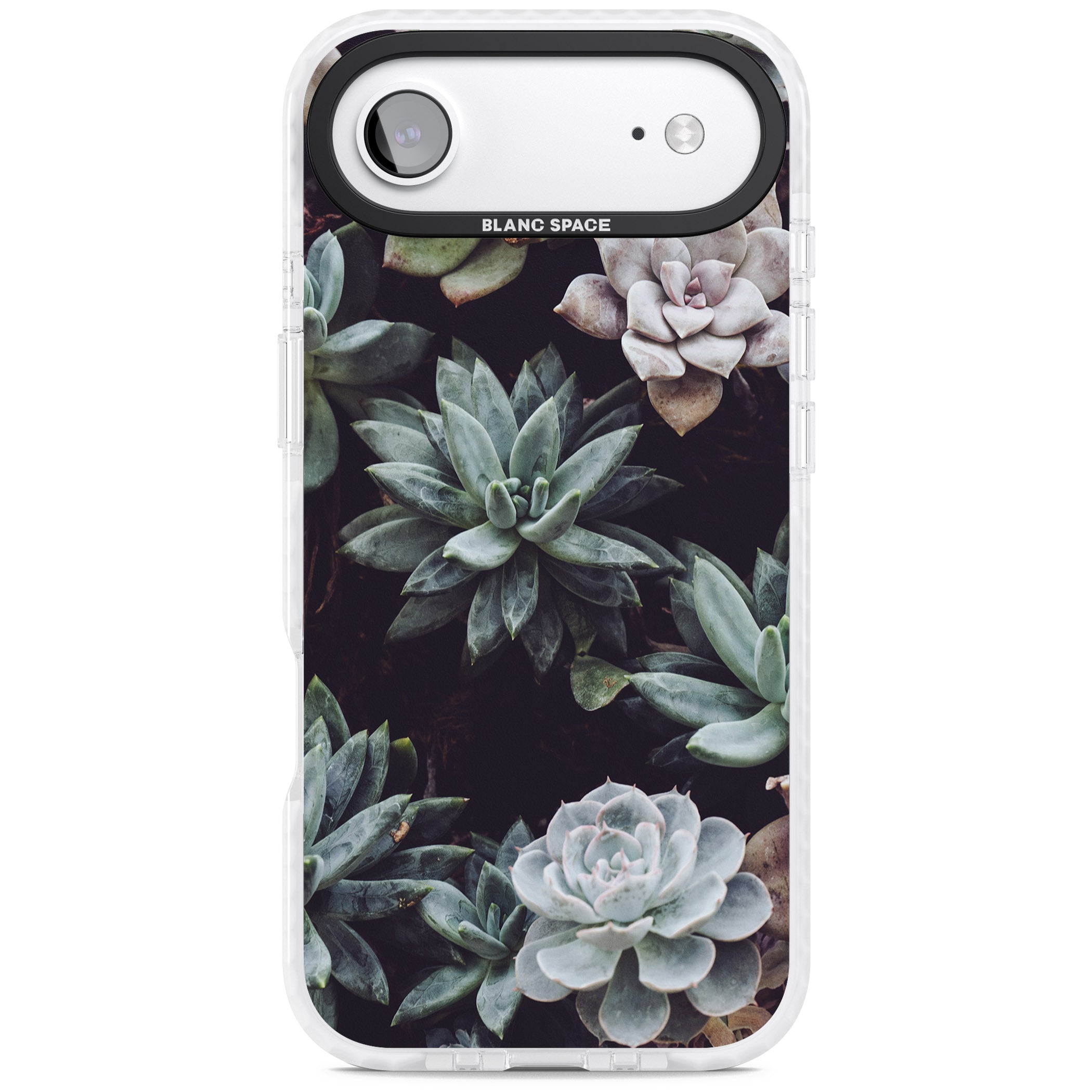 Succulent Bloom Mixed iPhone 17 Air Impact Pro Clear Phone Case