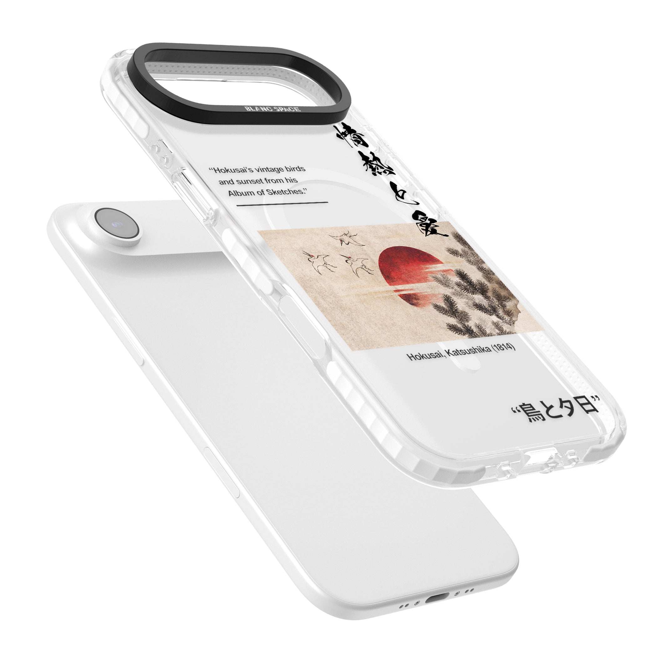 Birds And Sunset iPhone 17 Air Impact Pro Clear Phone Case Colours
