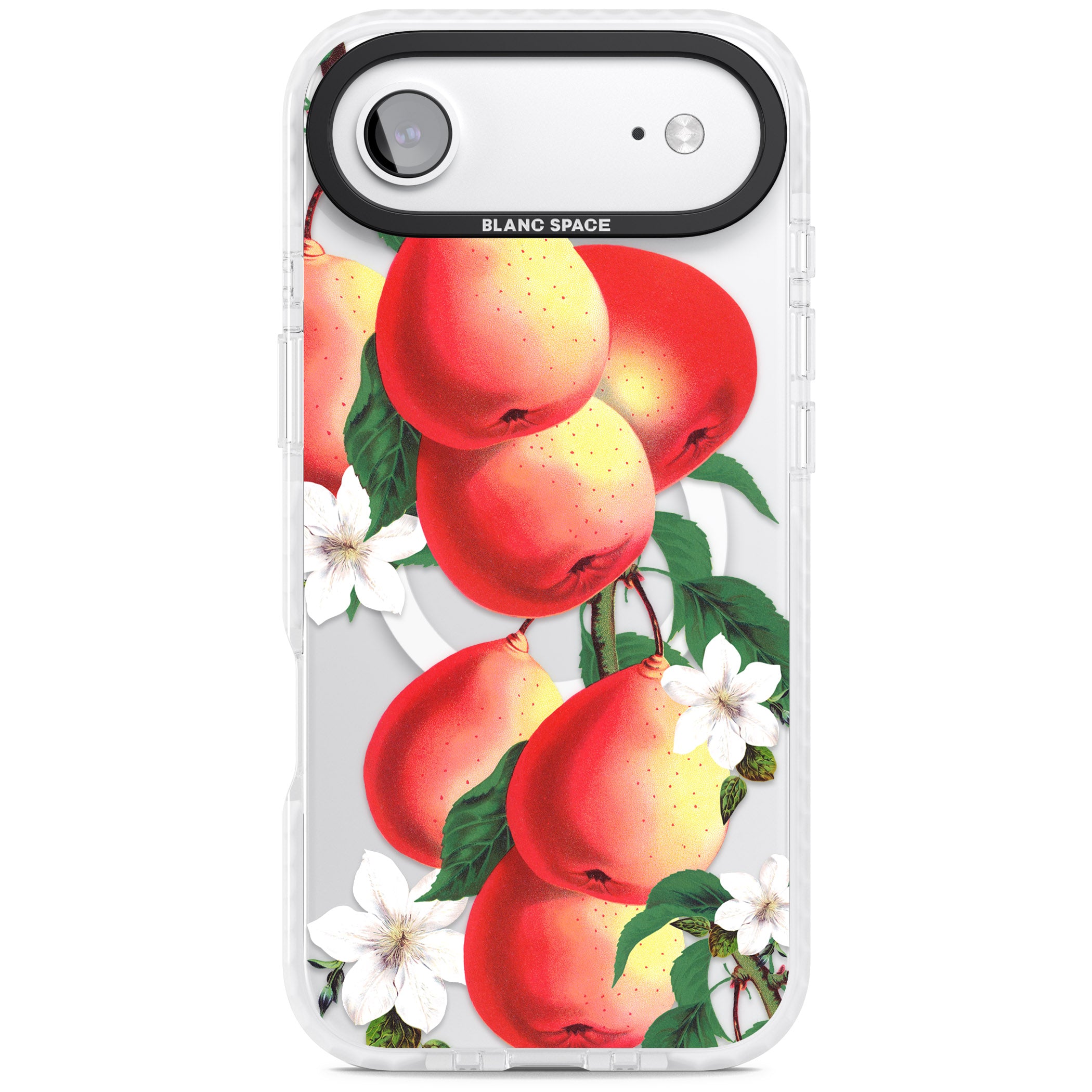 Vintage Painted Peaches iPhone 17 Air Impact Pro Clear Phone Case