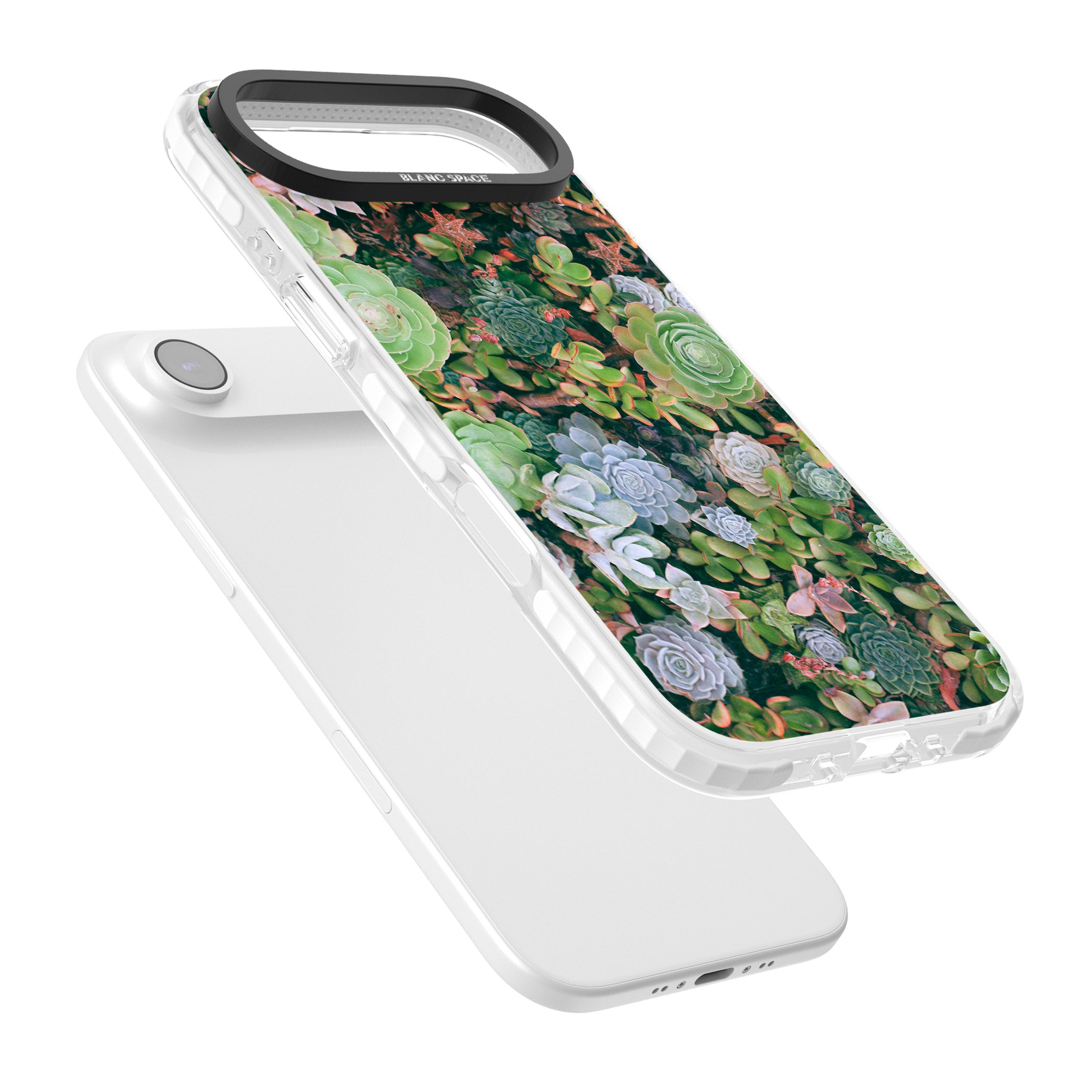 Succulent Garden iPhone 17 Air Impact Clear Phone Case Colours