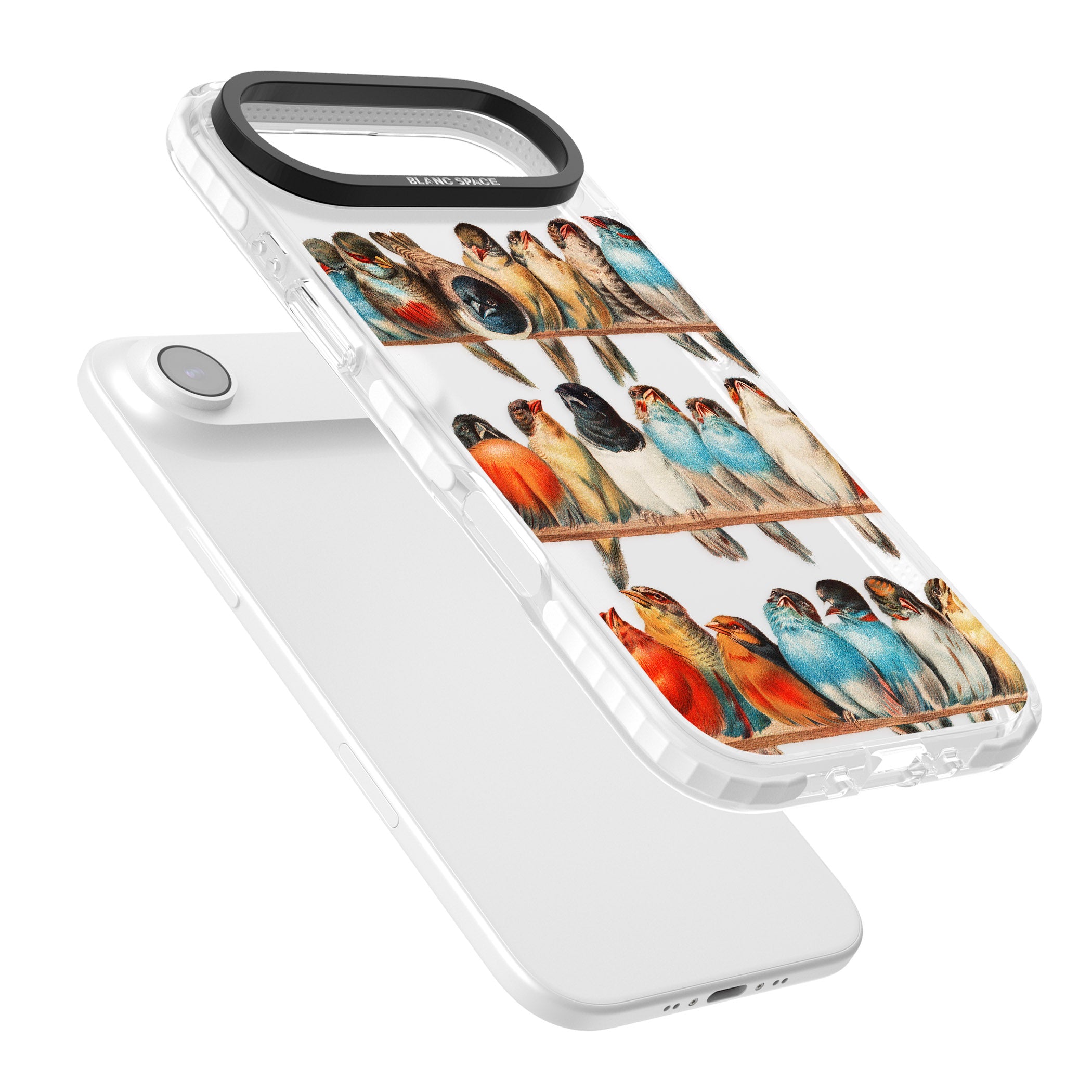 A Perch Of Birds iPhone 17 Air Impact Clear Phone Case Colours