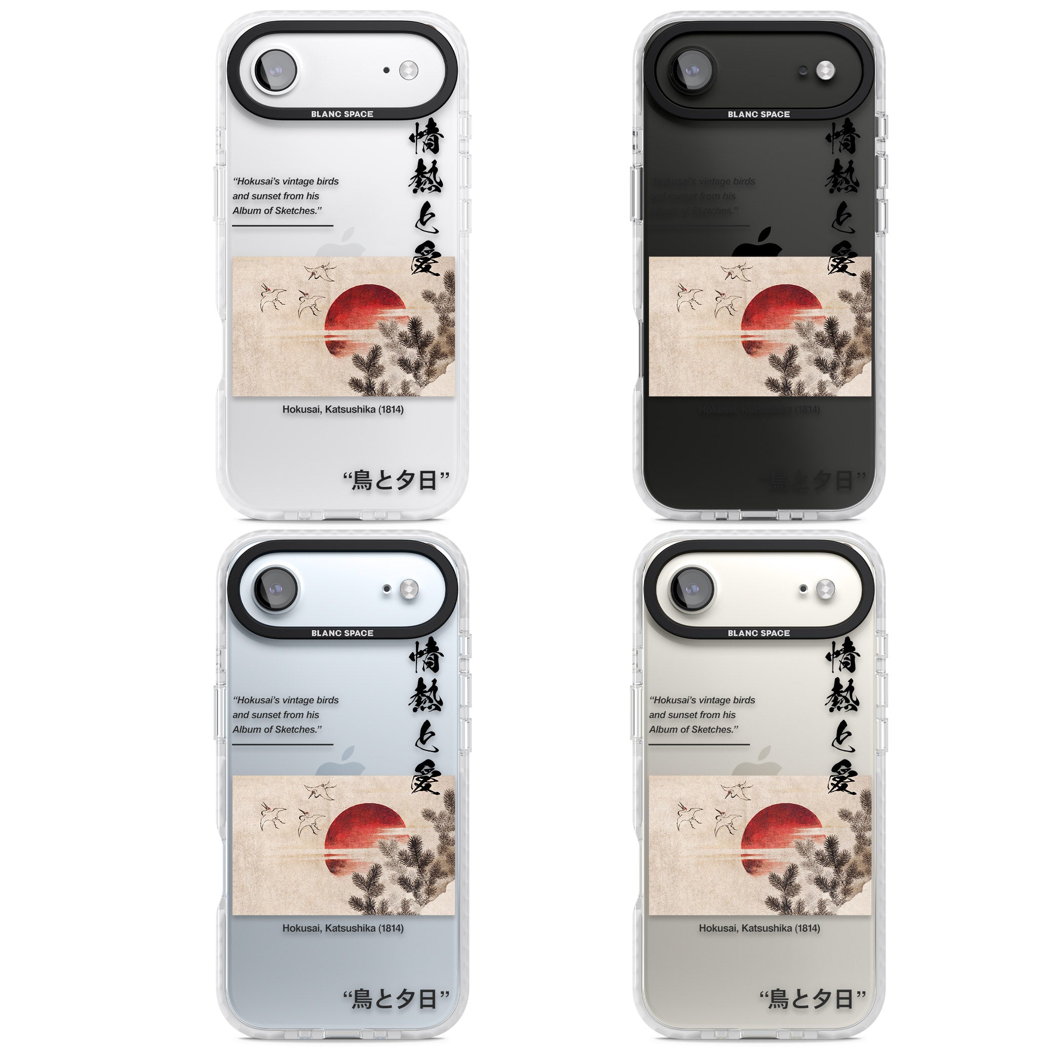 Birds And Sunset iPhone 17 Air Impact Clear Phone Case APT Impact Protection