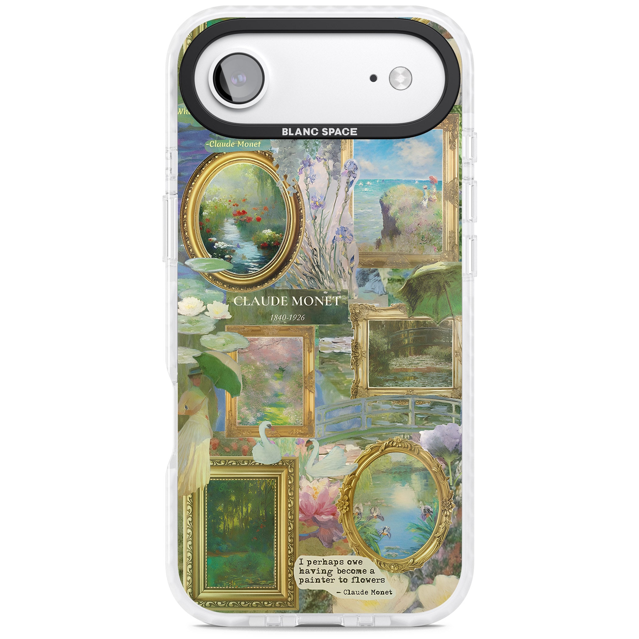 Vintage Floral Frames iPhone 17 Air Impact Clear Phone Case