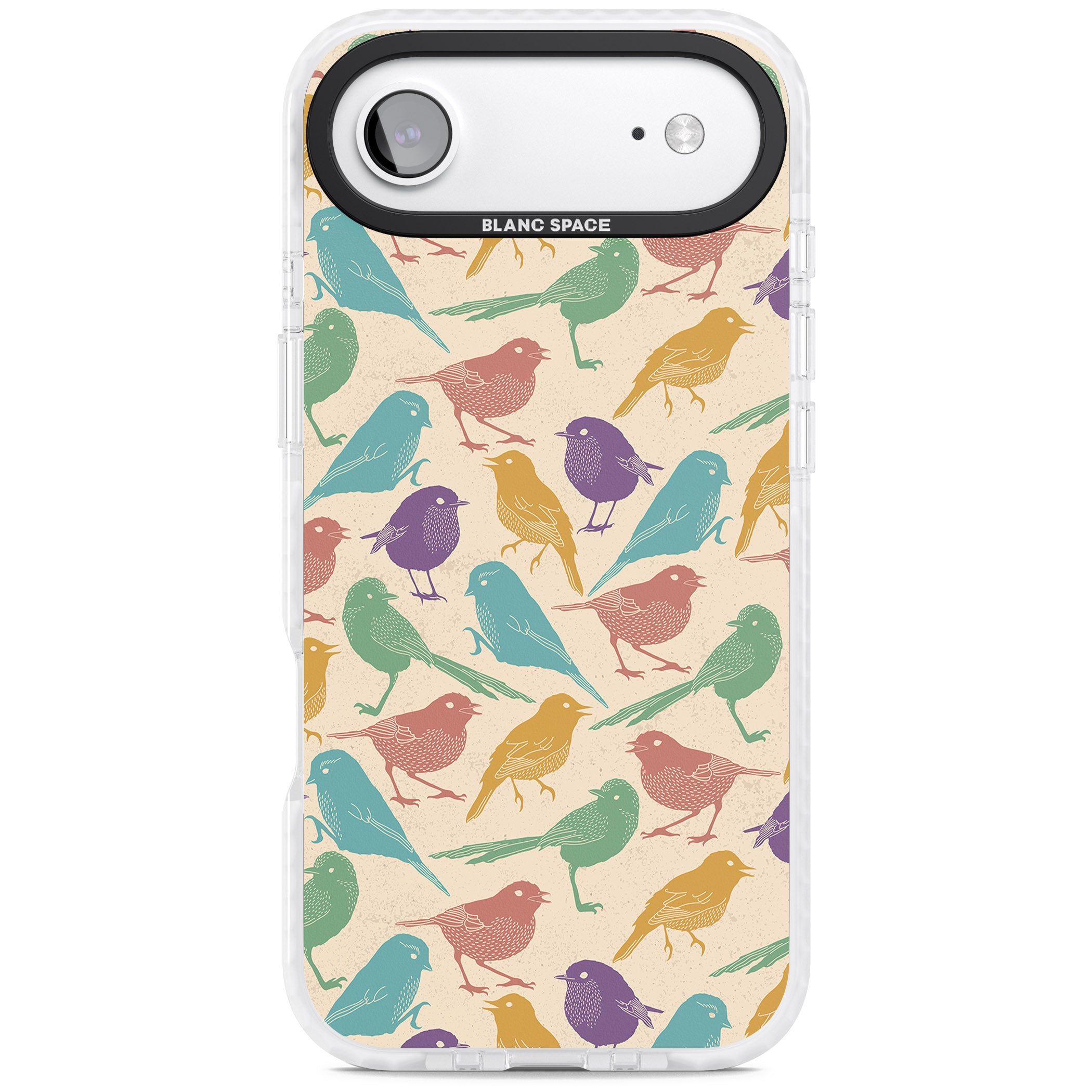 Colorful Feathered Friends iPhone 17 Air Impact Clear Phone Case
