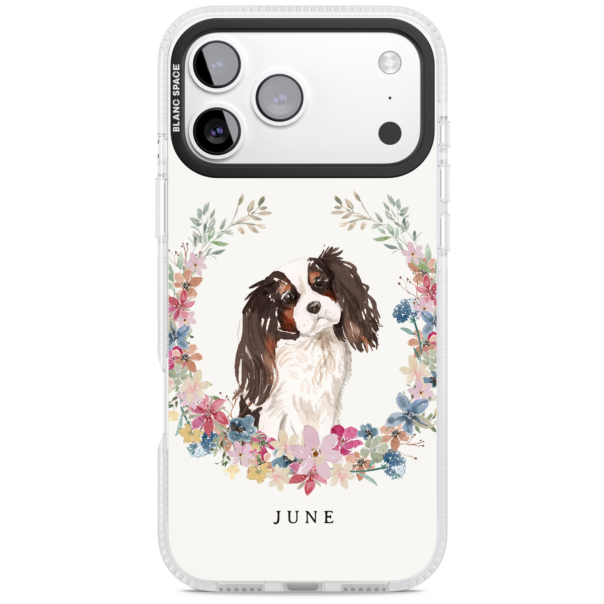 Personalised King Charles Floral Portrait iPhone 17 Pro Max Impact Air Clear Phone Case