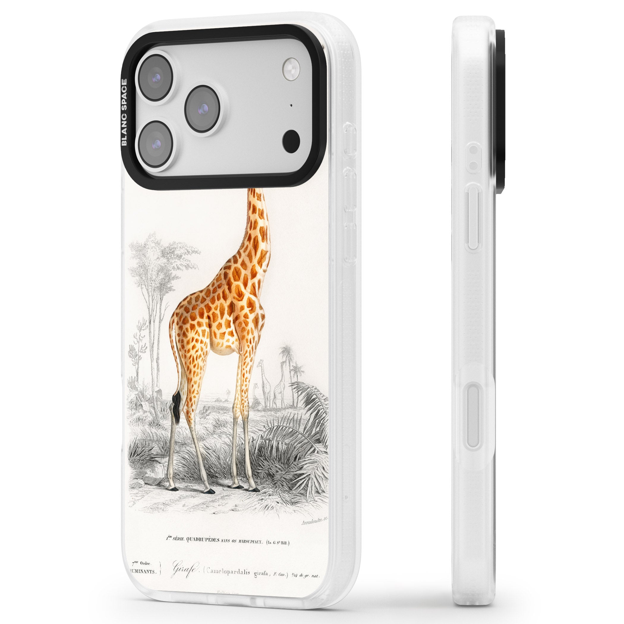 Vintage Giraffe Art iPhone 17 Pro Impact Air Clear Phone Case Side Profile