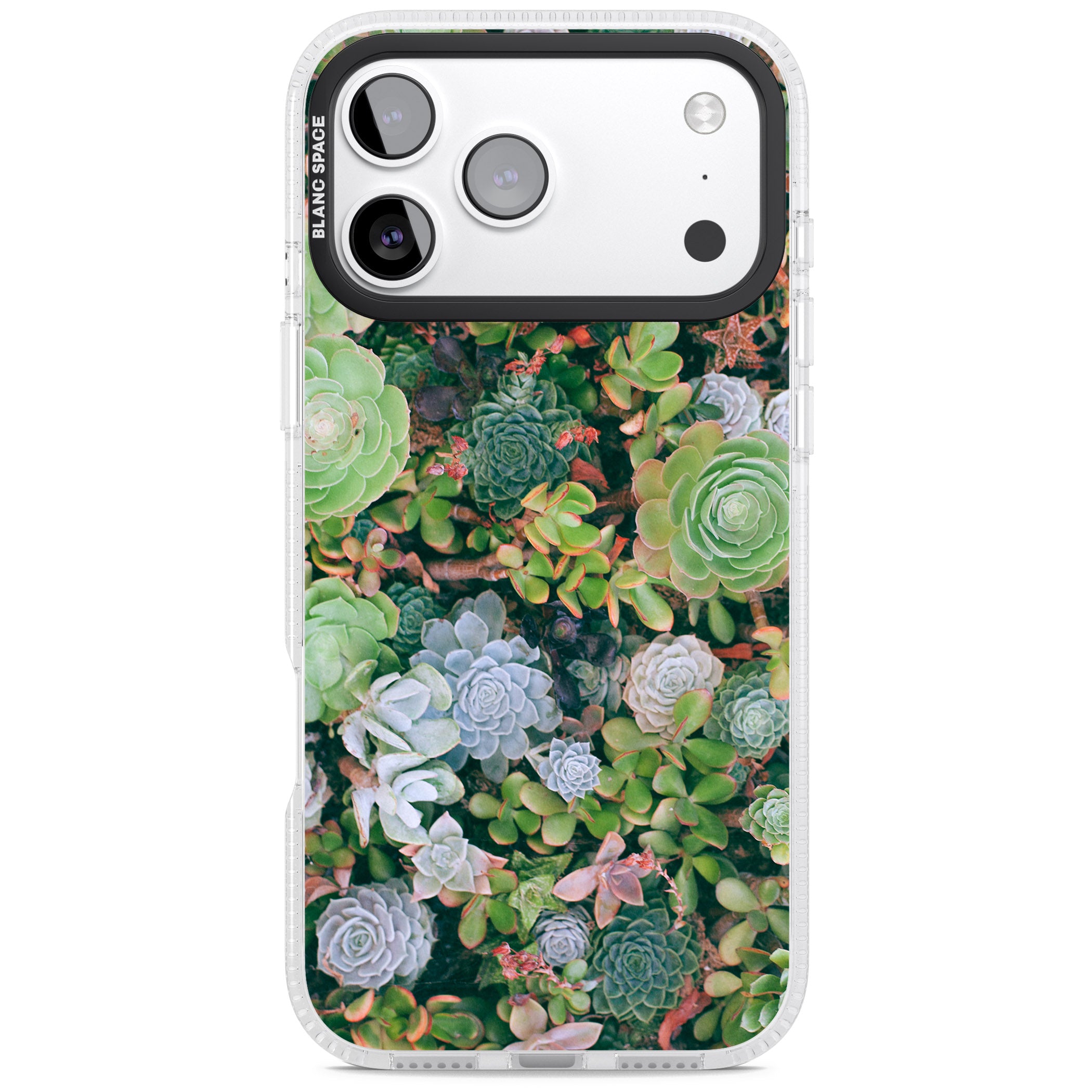 Succulent Garden iPhone 17 Pro Impact Air Clear Phone Case