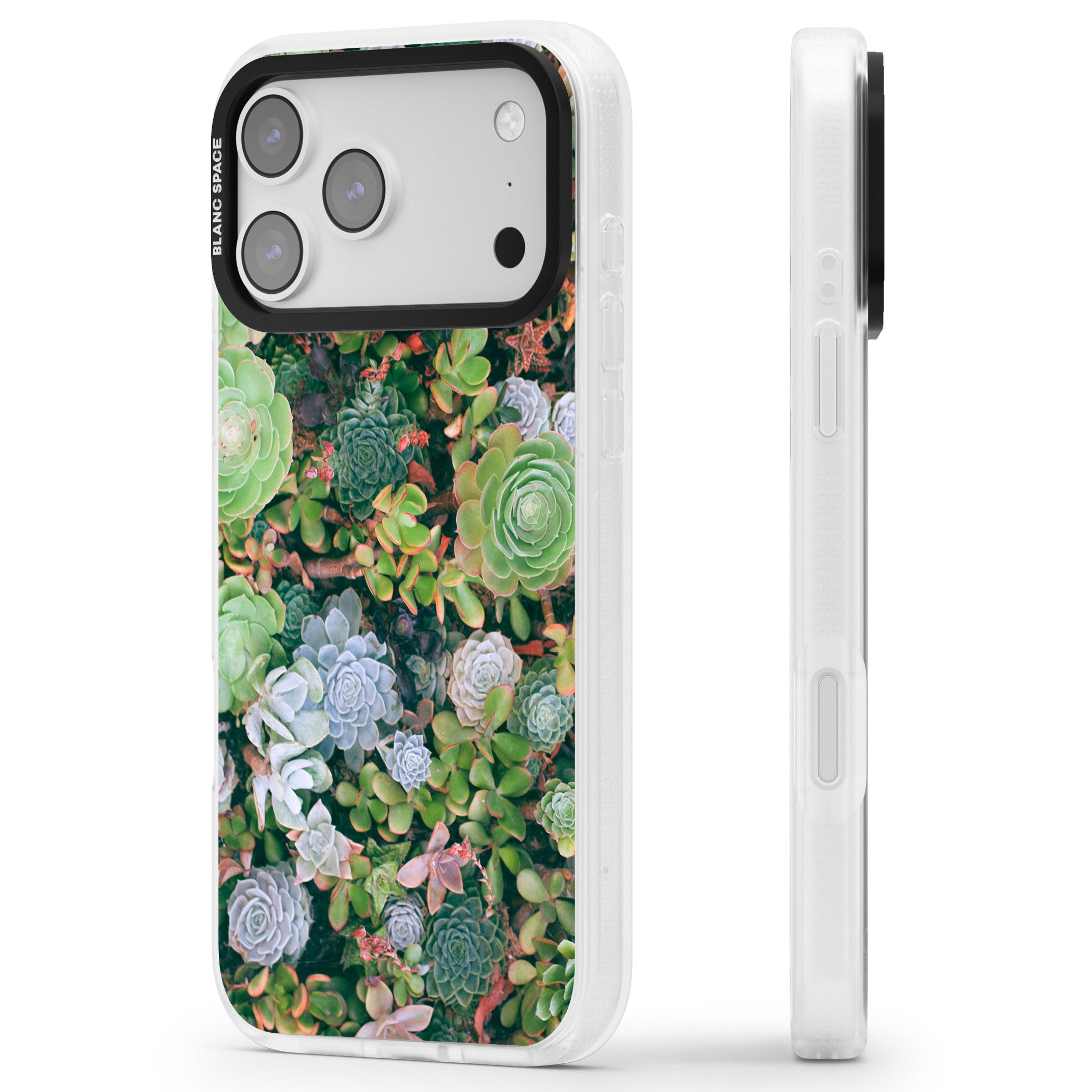 Succulent Garden iPhone 17 Pro Impact Air Clear Phone Case Side Profile