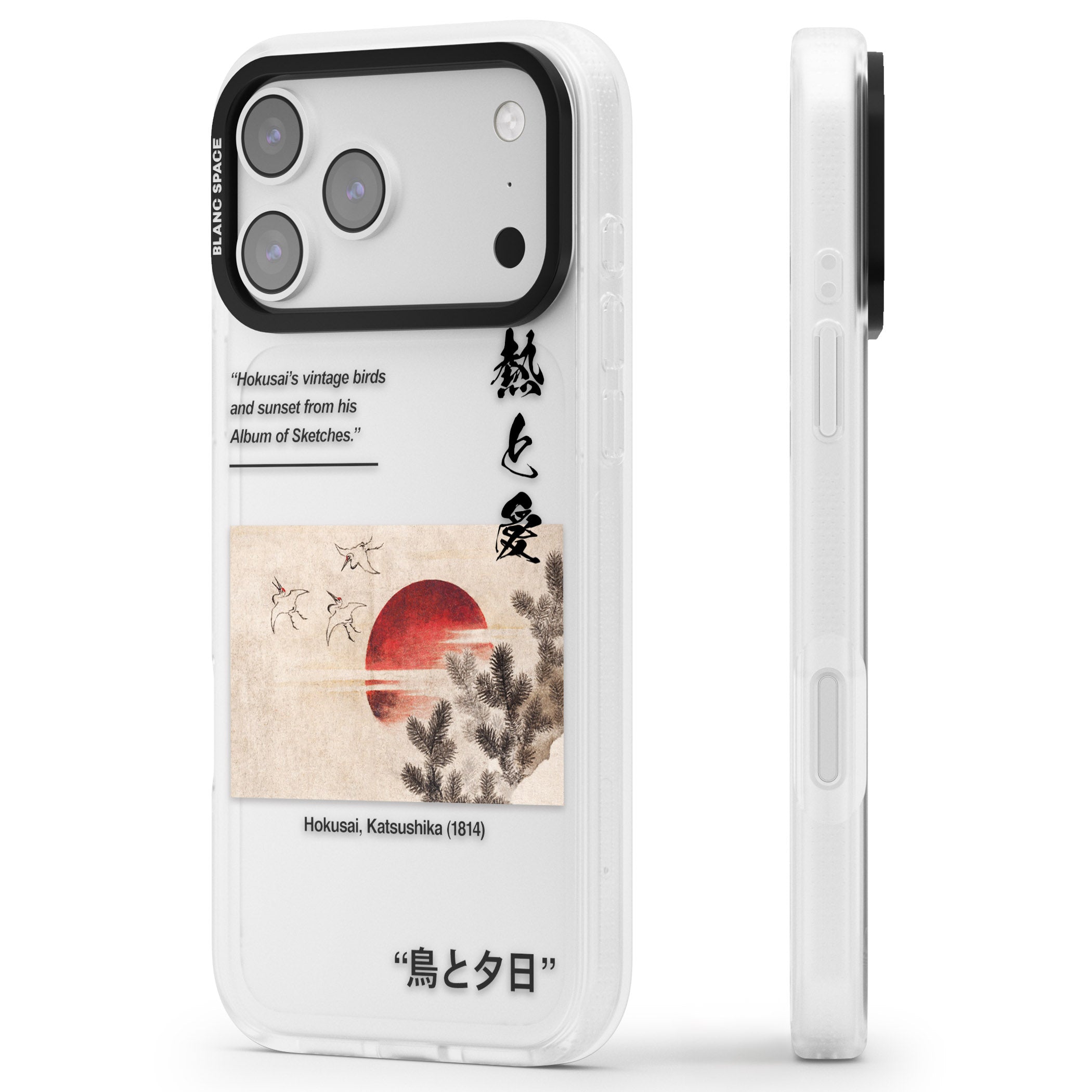 Birds And Sunset iPhone 17 Pro Max Impact Air Clear Phone Case Side Profile