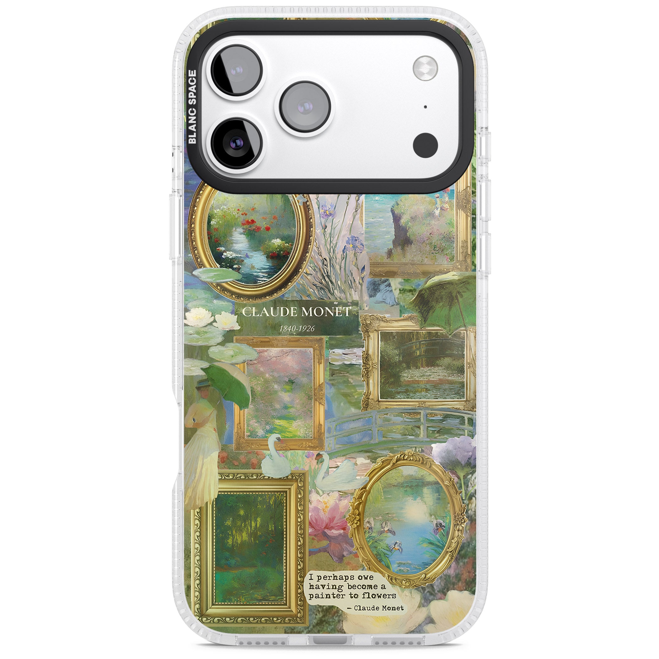 Vintage Floral Frames iPhone 17 Pro Impact Air Clear Phone Case