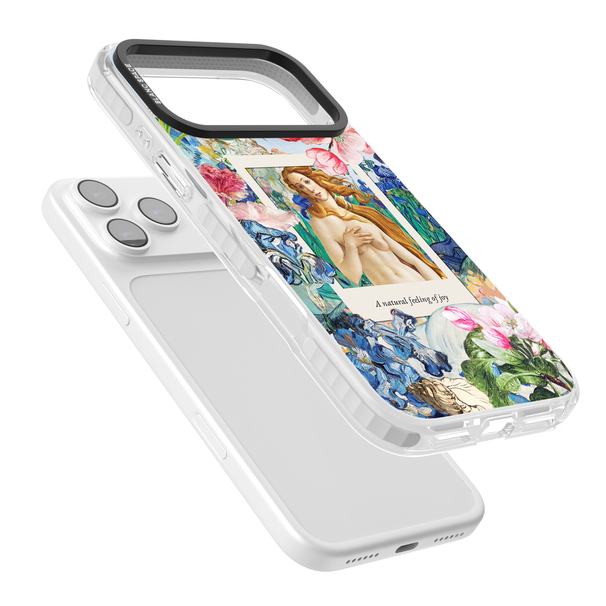 Botticelli Venus iPhone 17 Pro Max Impact Clear Phone Case Colours