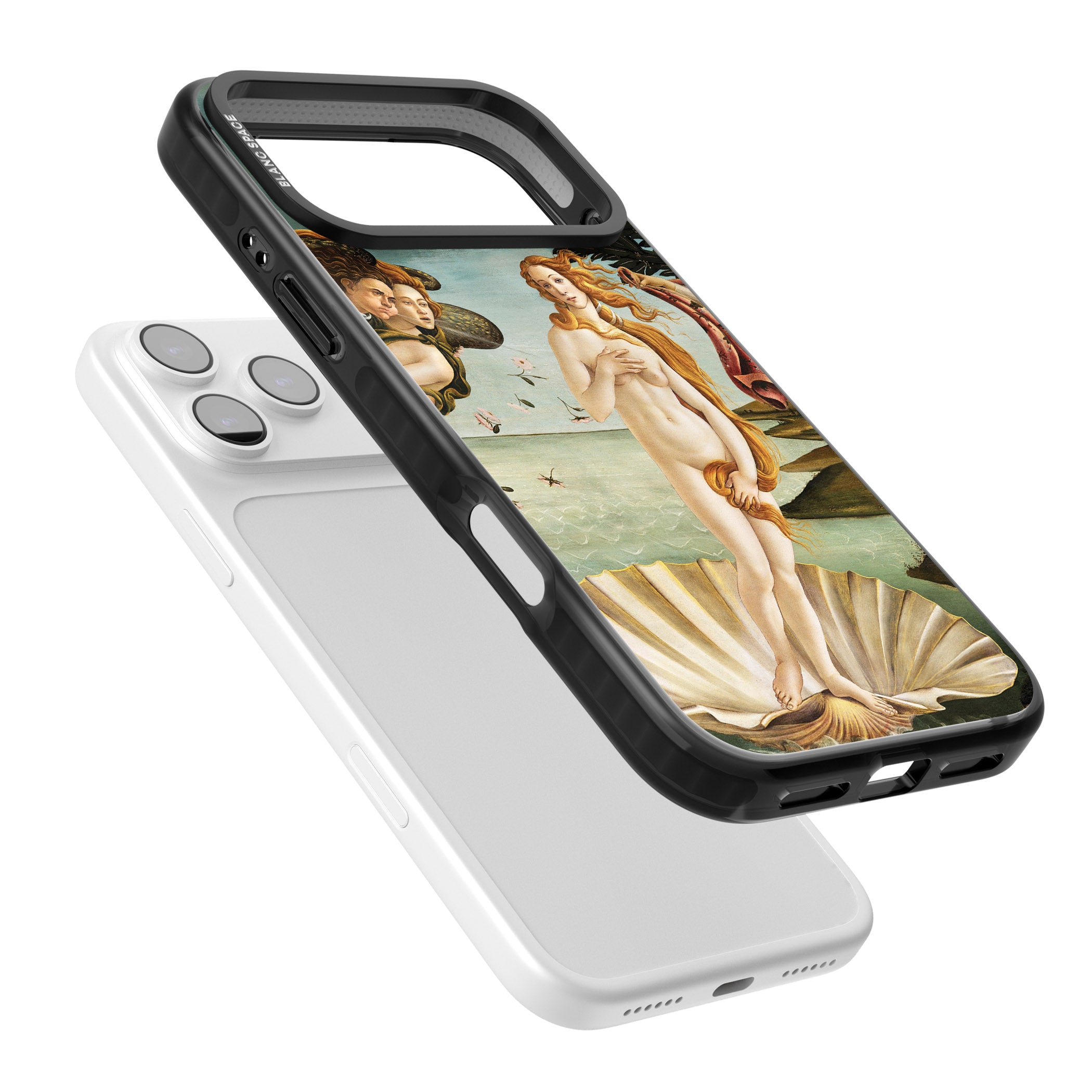 The Birth of Venus - Sandro Botticelli iPhone 17 Pro Max Impact Pro Black Phone Case Colours
