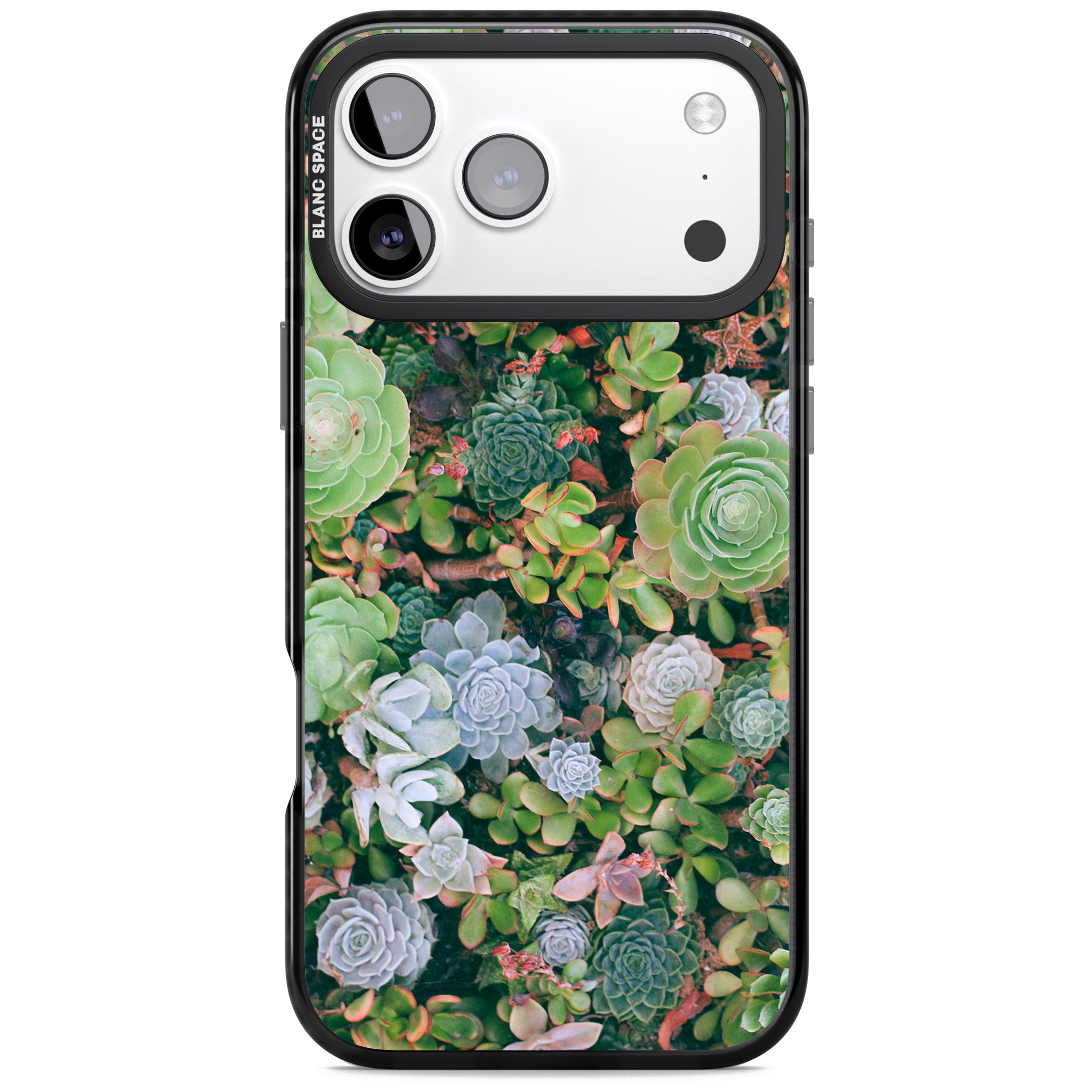 Succulent Garden iPhone 17 Pro Impact Pro Black Phone Case