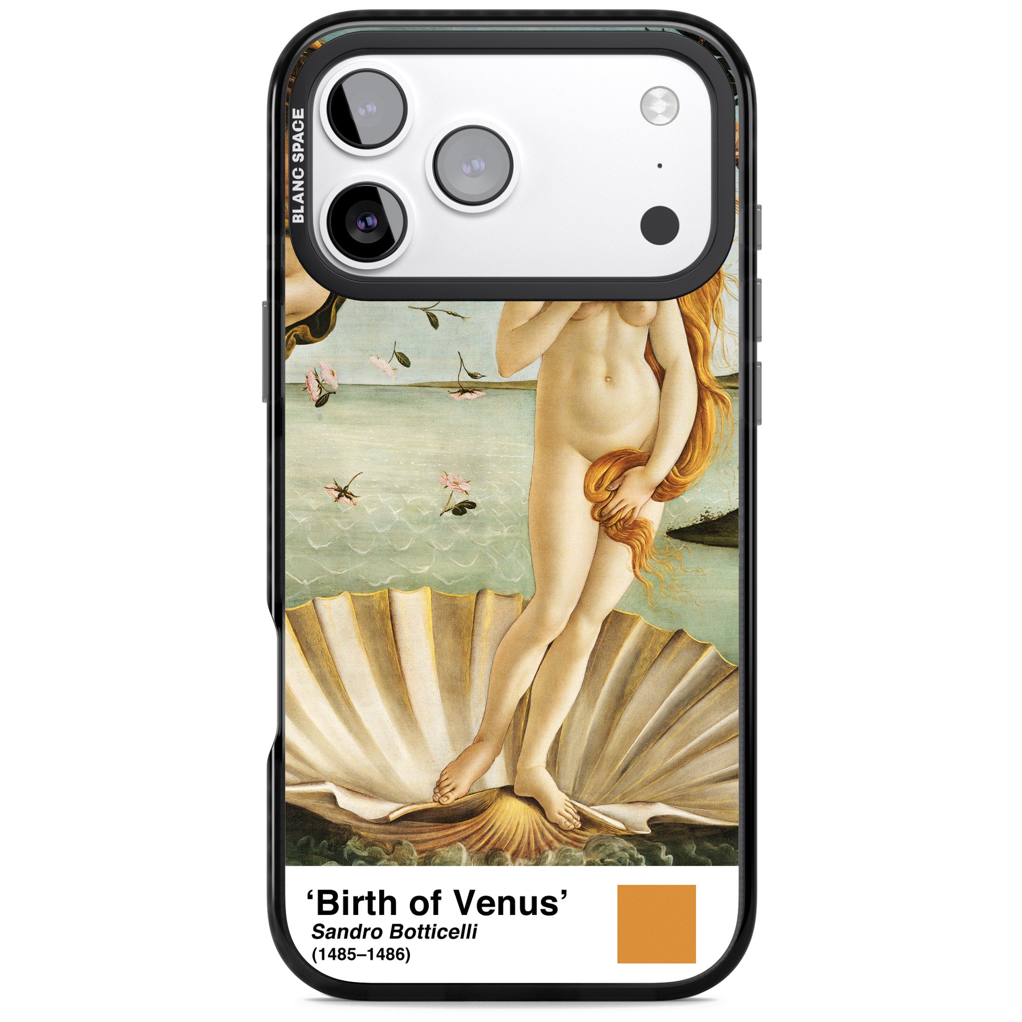 The Birth Of Venus iPhone 17 Pro Impact Pro Black Phone Case