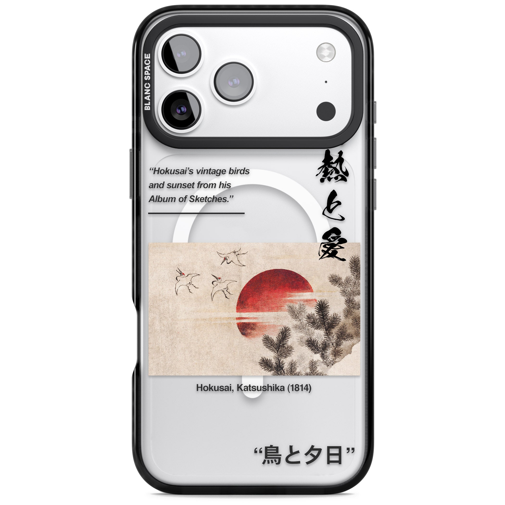 Birds And Sunset iPhone 17 Pro Max Impact Pro Black Phone Case