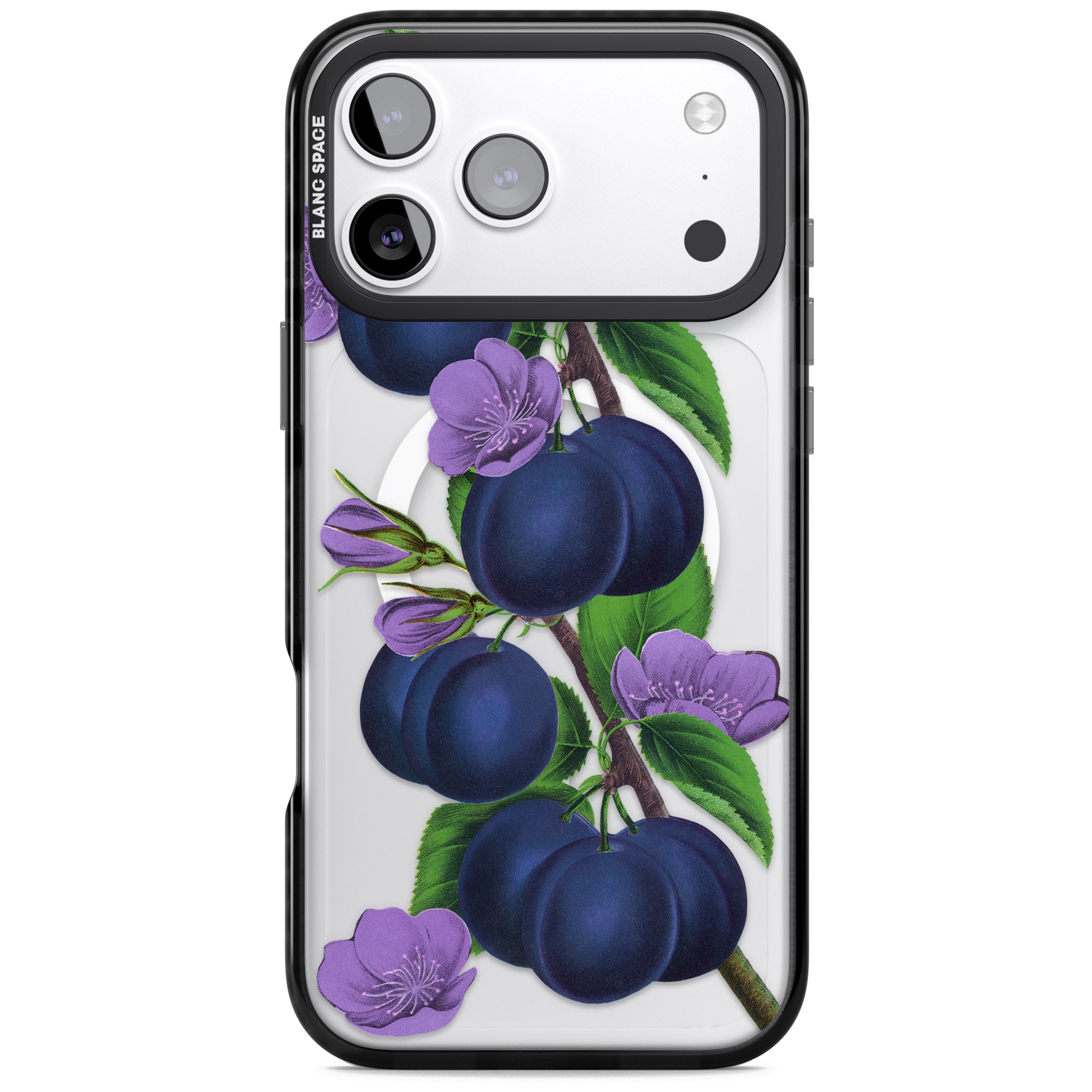 Vintage Painted Plums iPhone 17 Pro Max Impact Pro Black Phone Case
