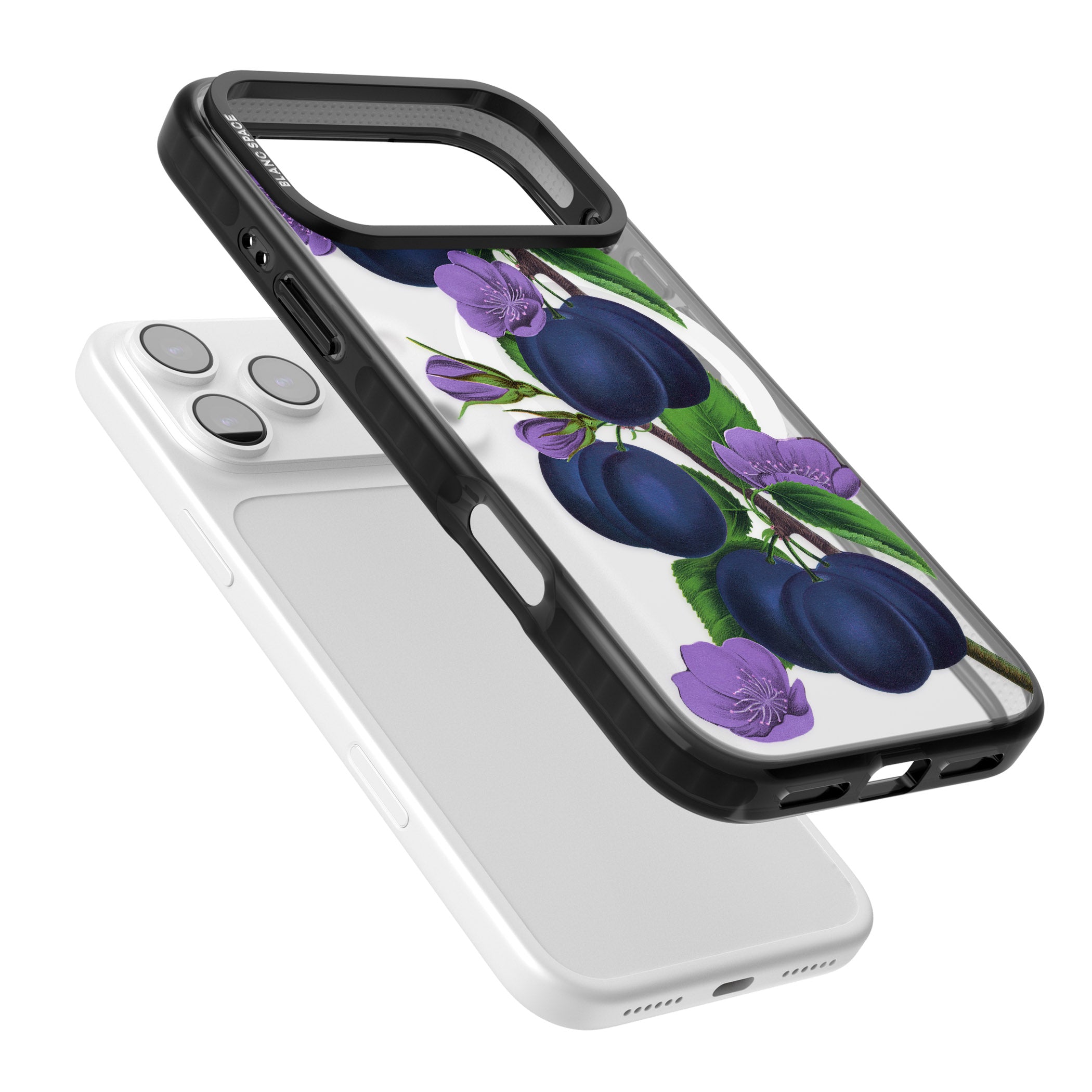 Vintage Painted Plums iPhone 17 Pro Max Impact Pro Black Phone Case Colours