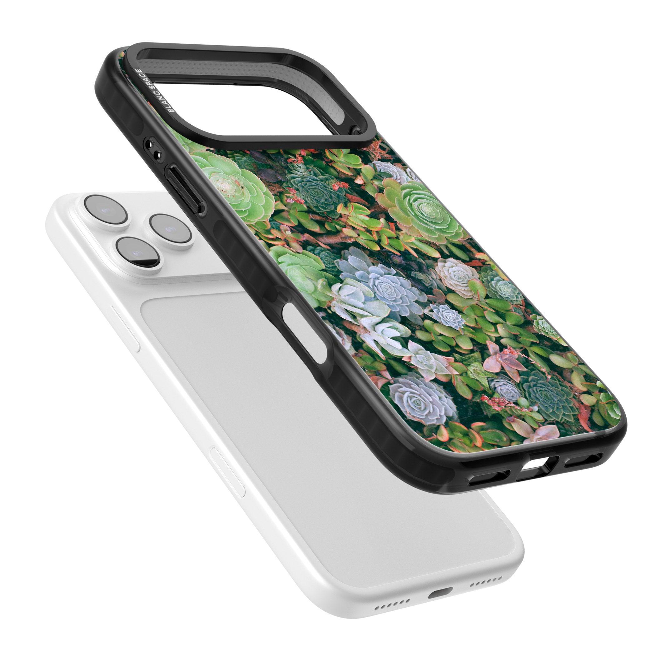 Succulent Garden iPhone 17 Pro Max Impact Black Phone Case Colours