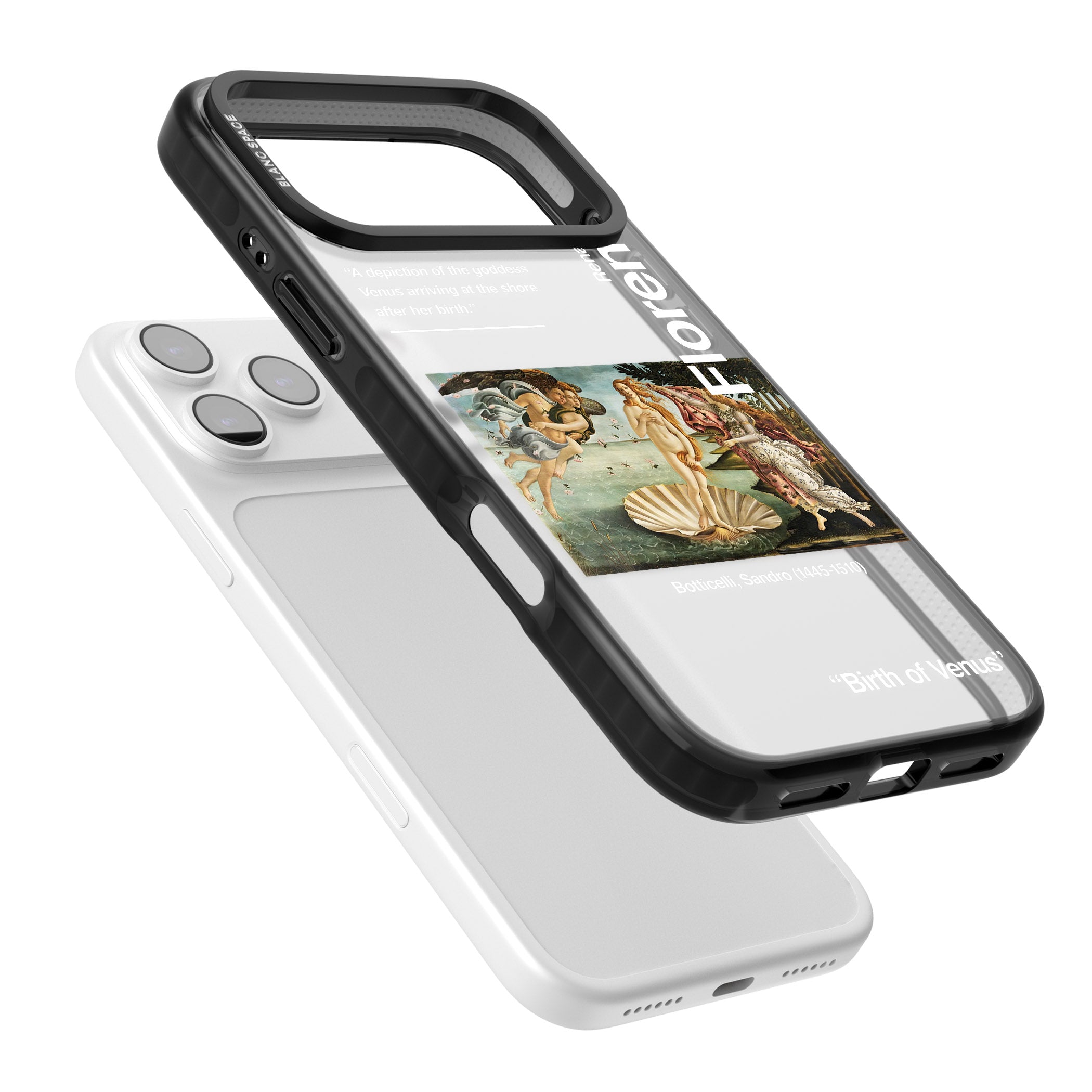 Birth Of Venus iPhone 17 Pro Max Impact Black Phone Case Colours