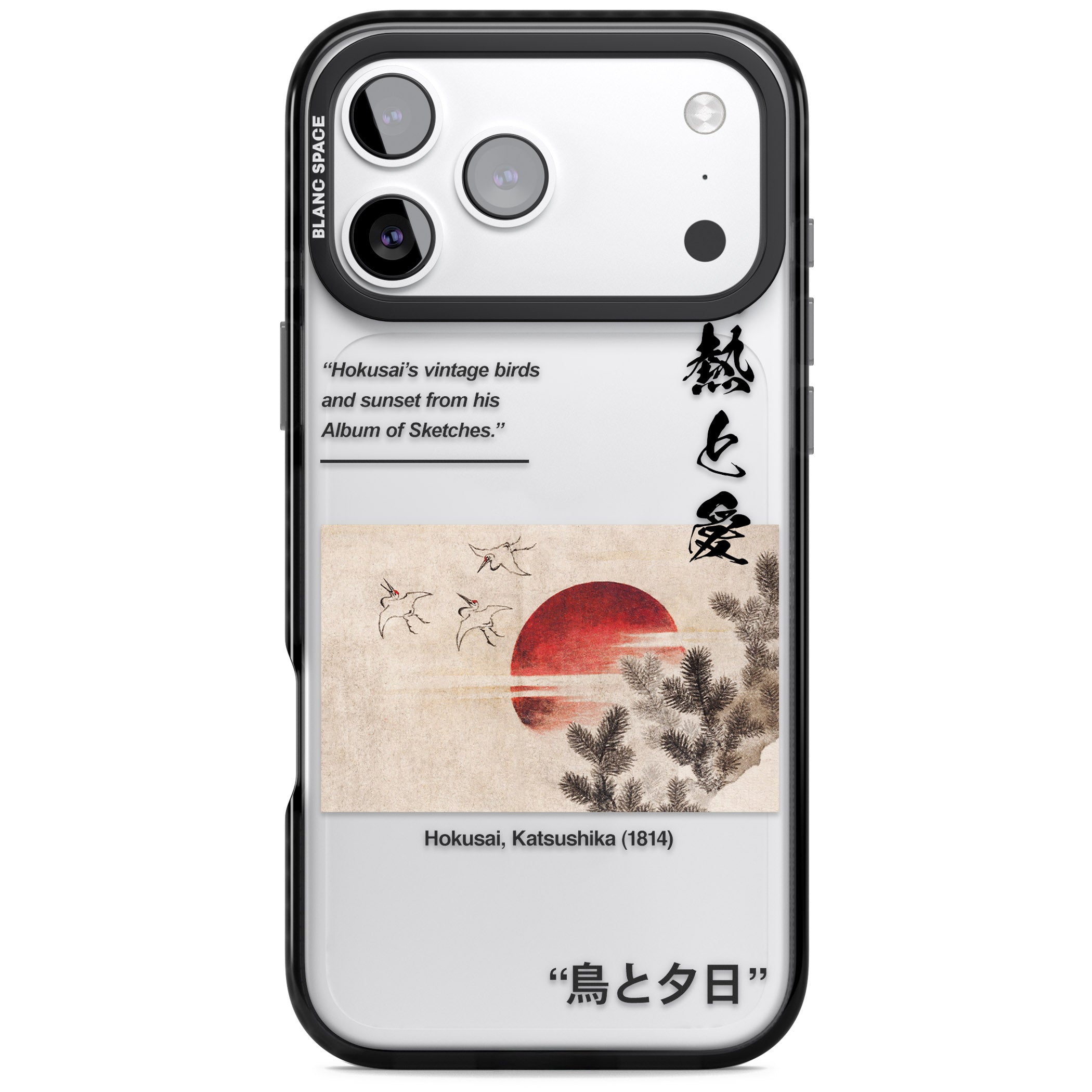 Birds And Sunset iPhone 17 Pro Max Impact Black Phone Case