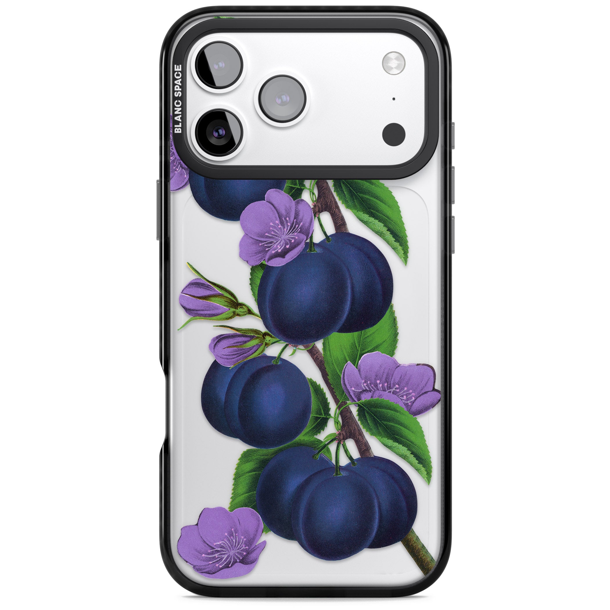 Vintage Painted Plums iPhone 17 Pro Max Impact Black Phone Case
