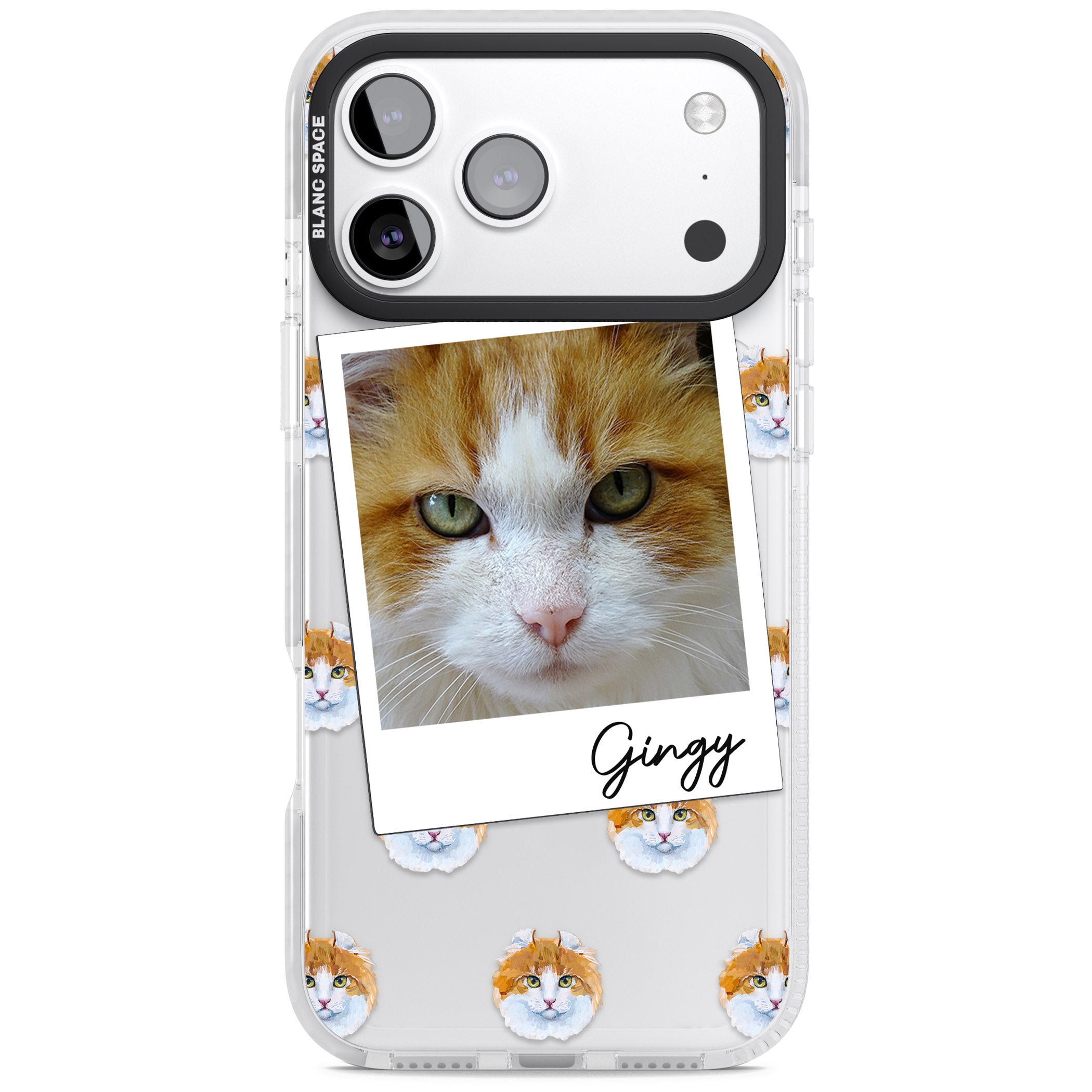 Personalised American Curl Photo iPhone 17 Pro Impact Clear Phone Case