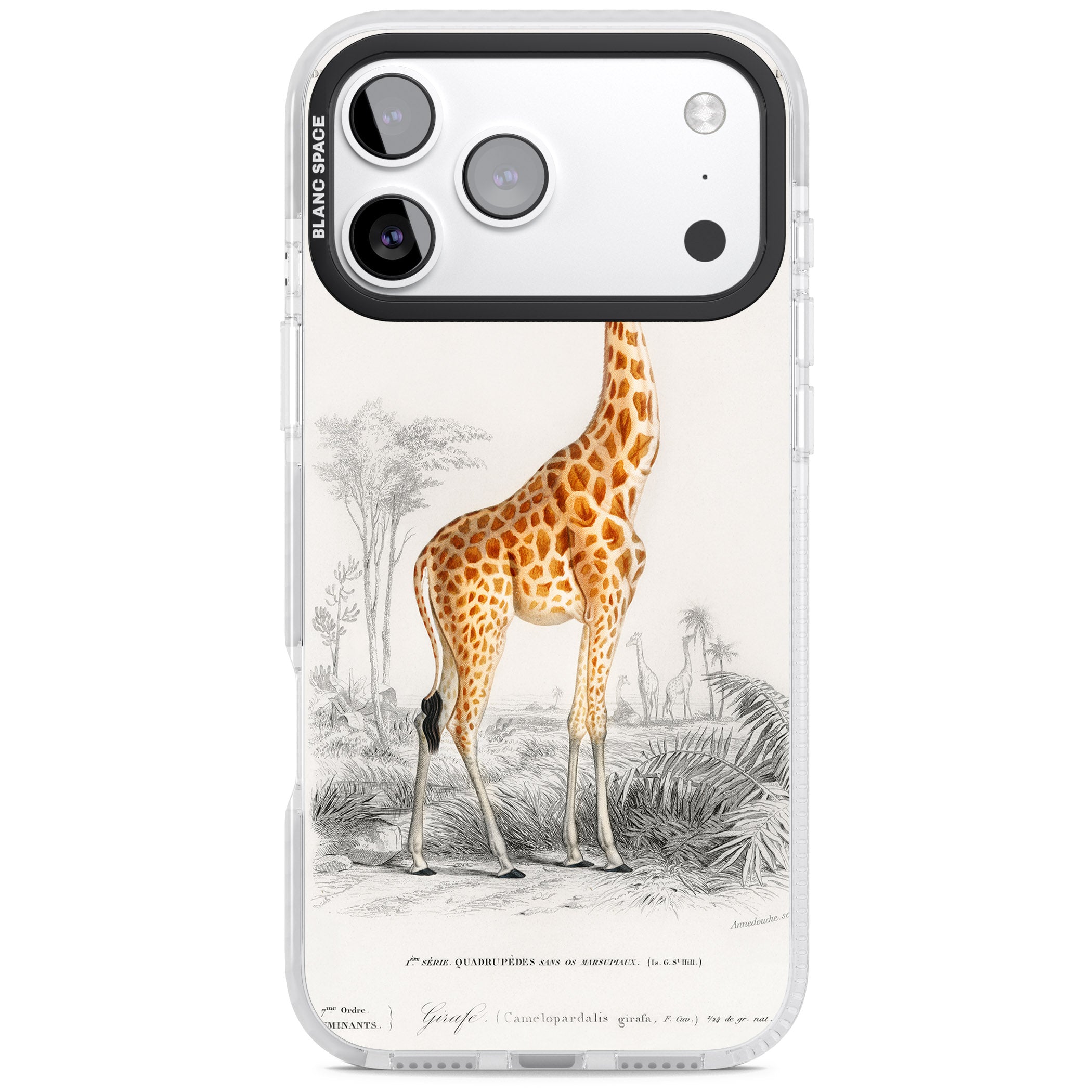Vintage Giraffe Art iPhone 17 Pro Impact Pro Clear Phone Case