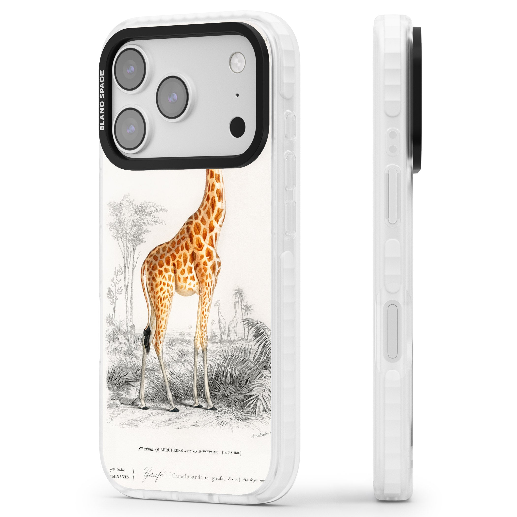 Vintage Giraffe Art iPhone 17 Pro Impact Pro Clear Phone Case Side Profile