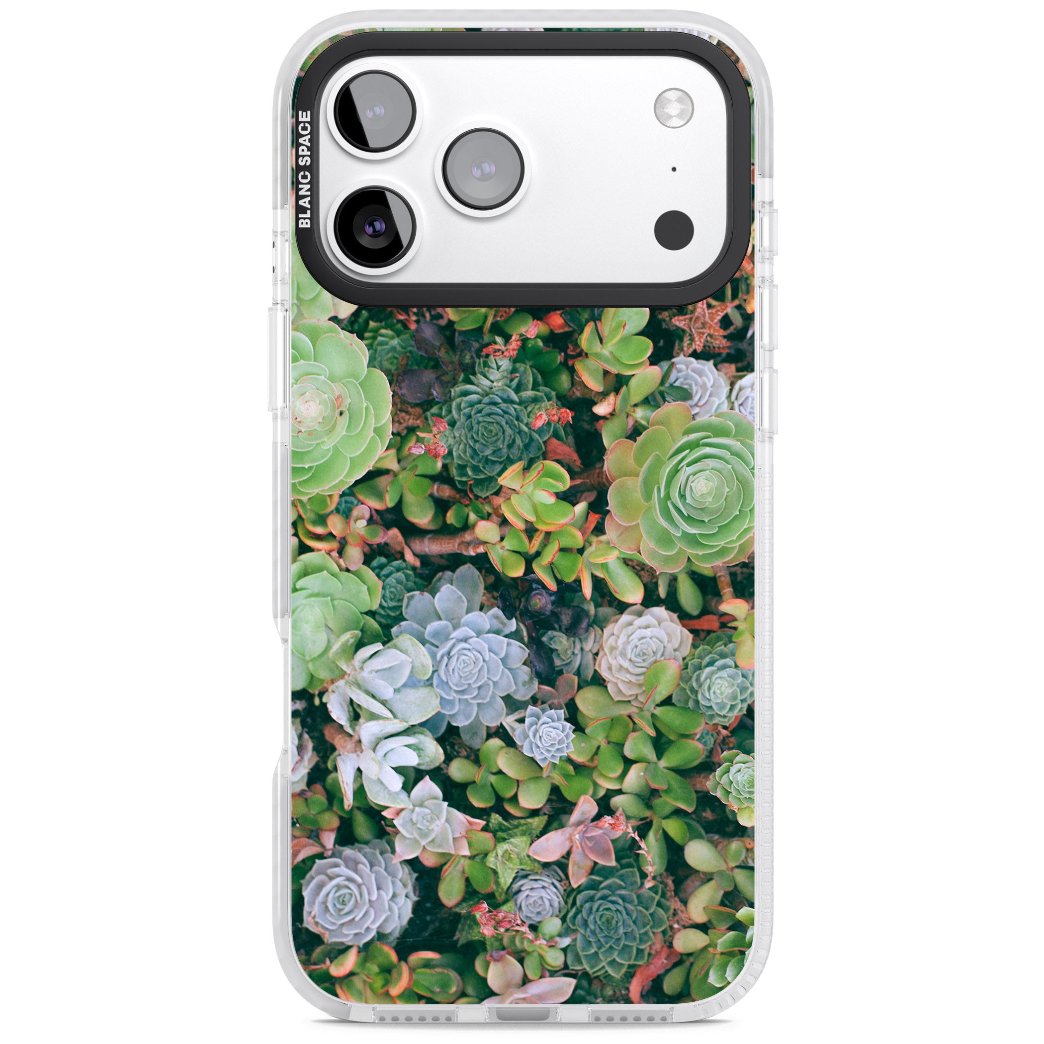 Succulent Garden iPhone 17 Pro Impact Pro Clear Phone Case