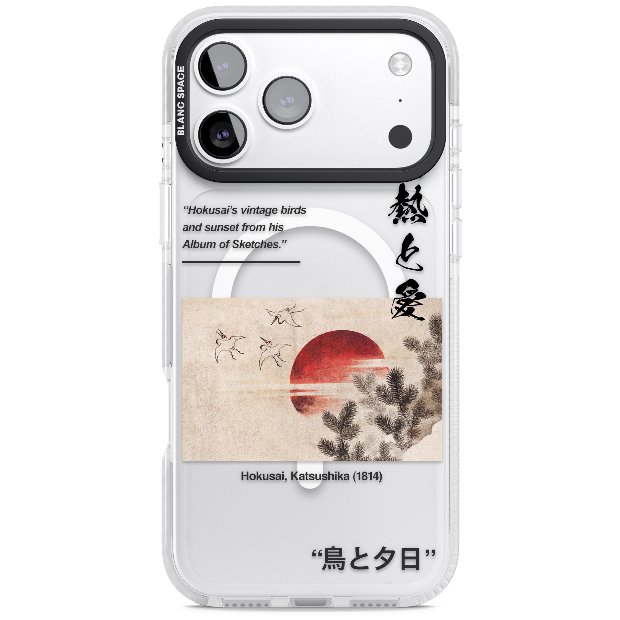 Birds And Sunset iPhone 17 Pro Max Impact Pro Clear Phone Case