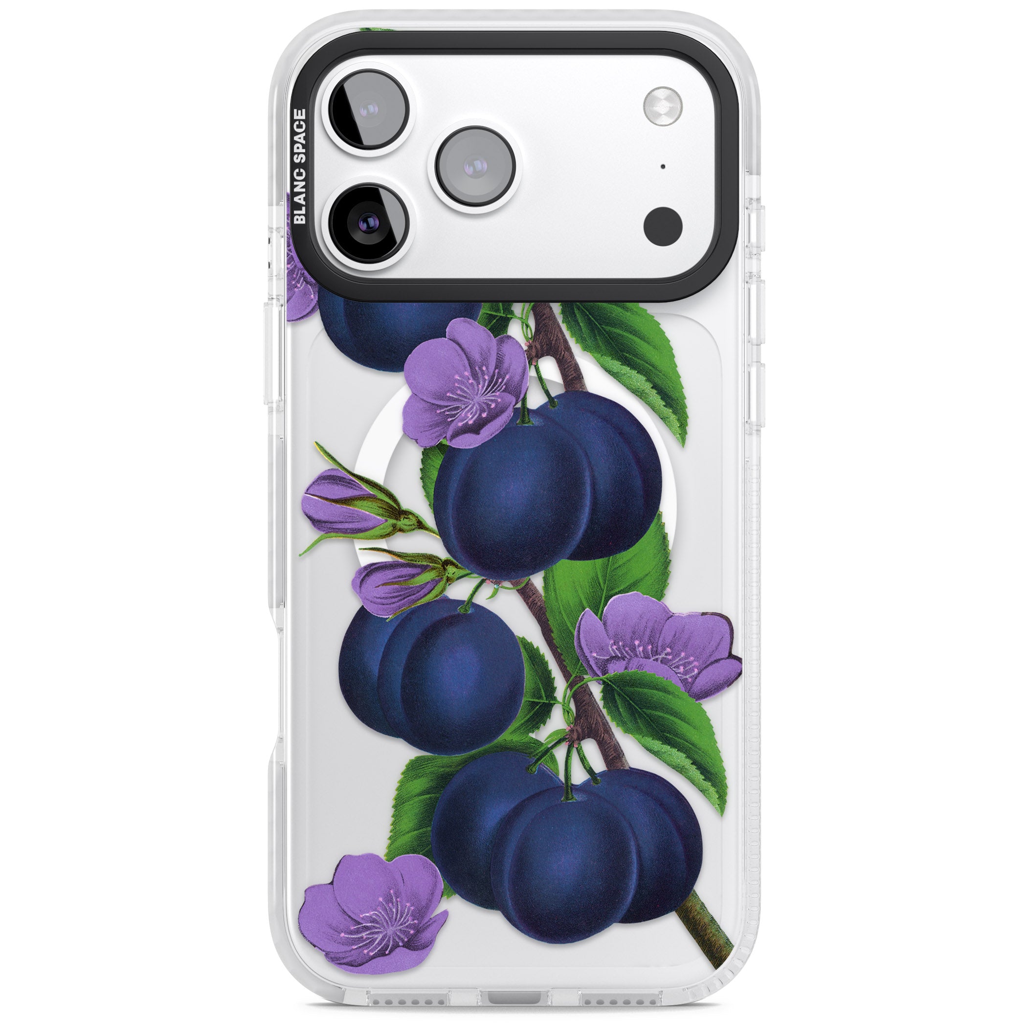 Vintage Painted Plums iPhone 17 Pro Max Impact Pro Clear Phone Case
