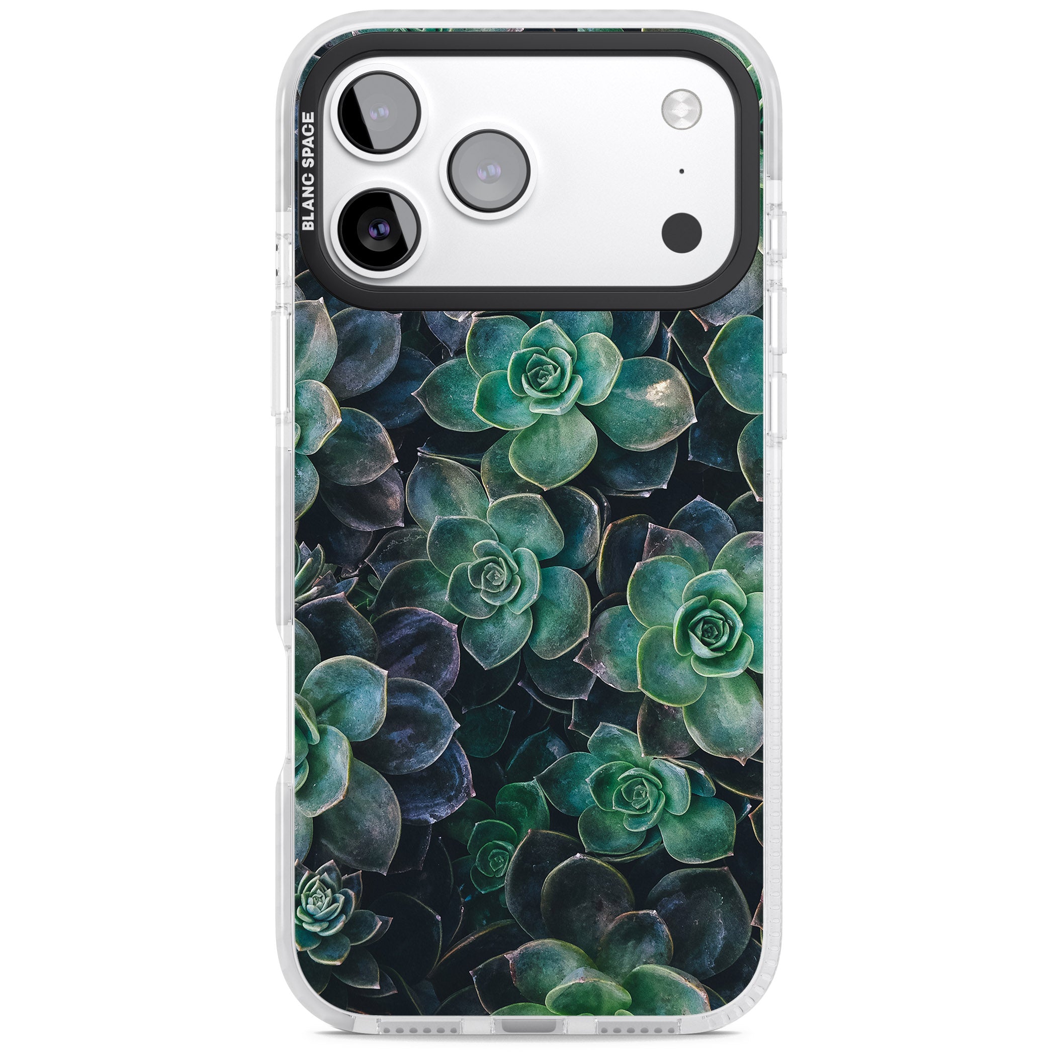 Succulent Bloom Botanical iPhone 17 Pro Impact Clear Phone Case