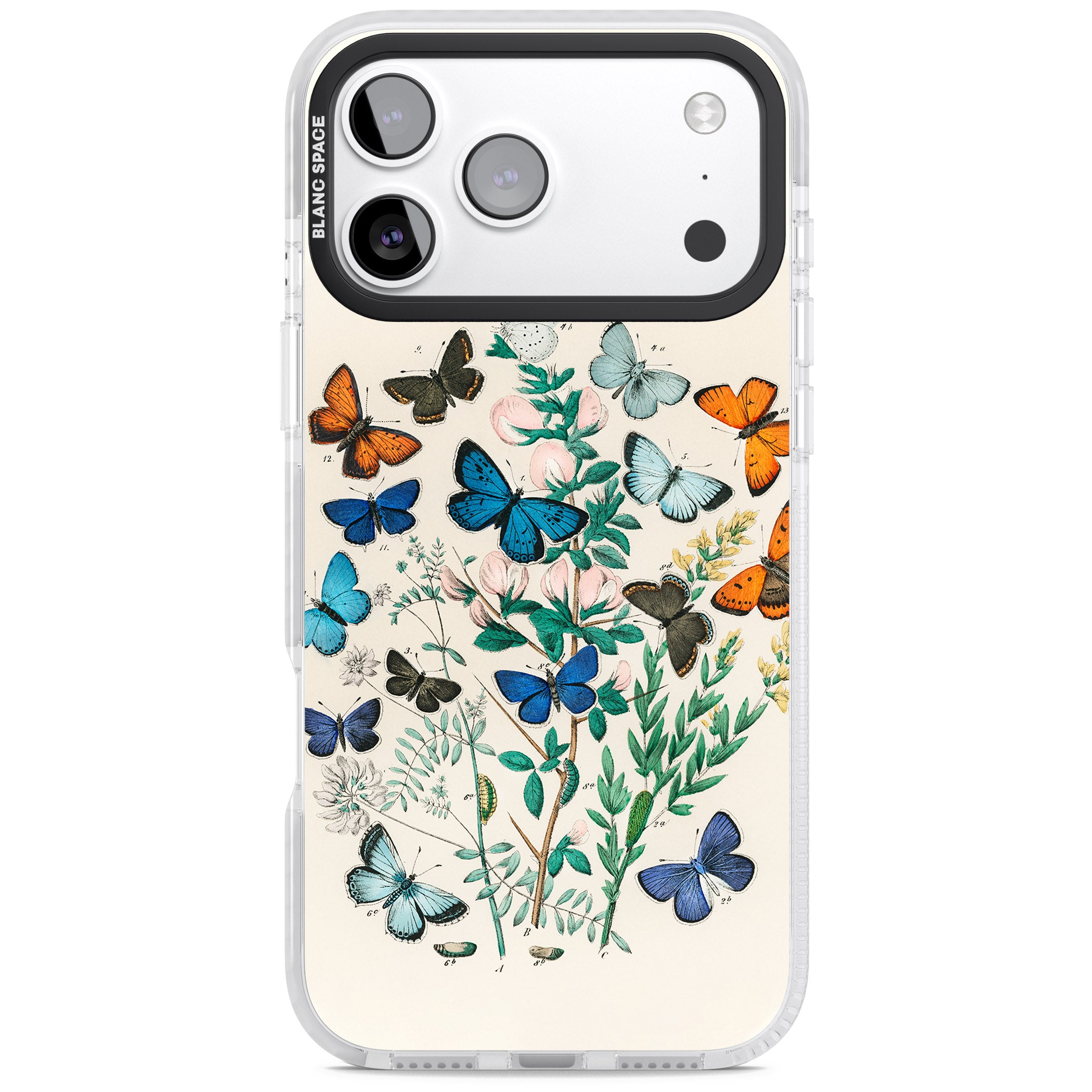 European Butterflies iPhone 17 Pro Impact Clear Phone Case