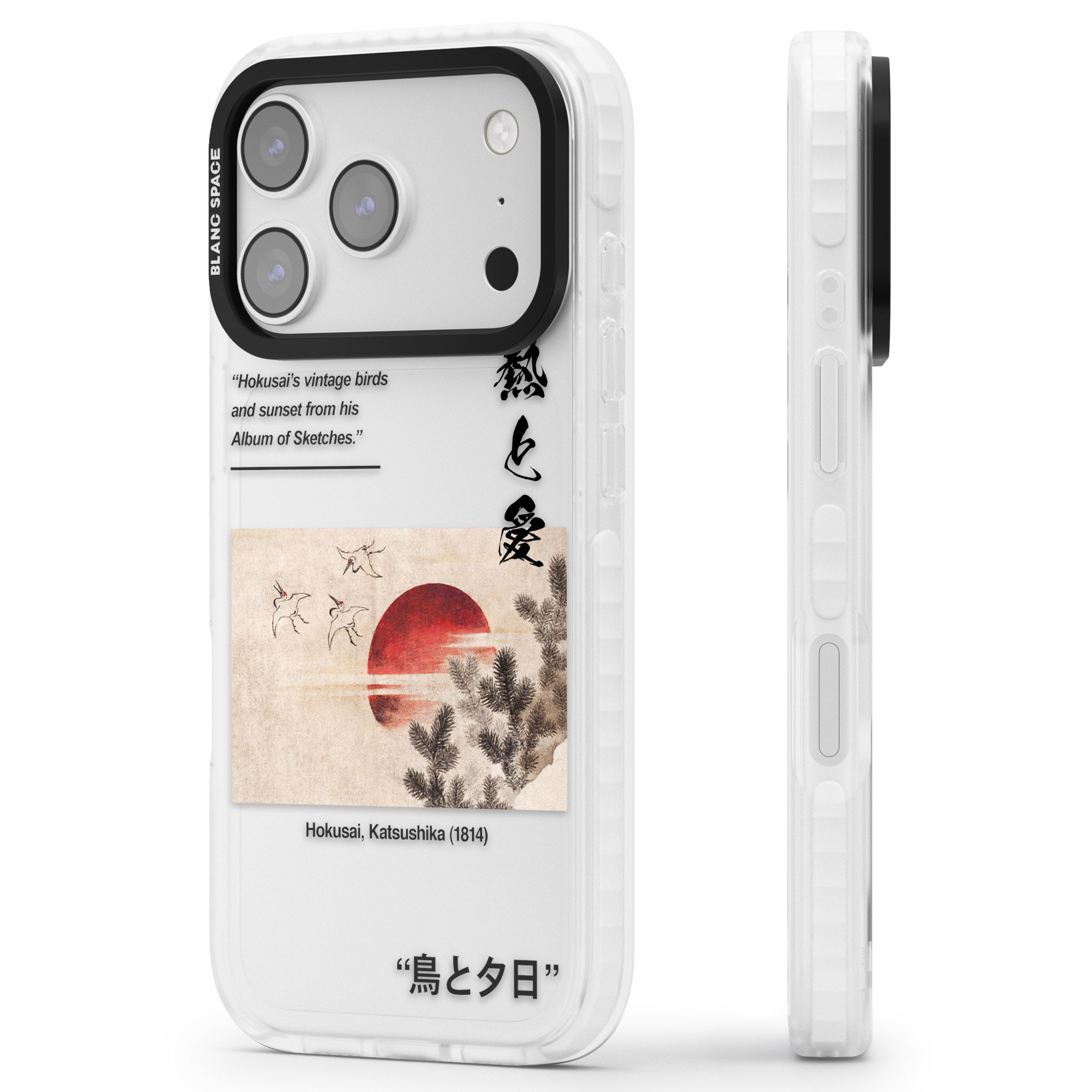 Birds And Sunset iPhone 17 Pro Impact Clear Phone Case Side Profile