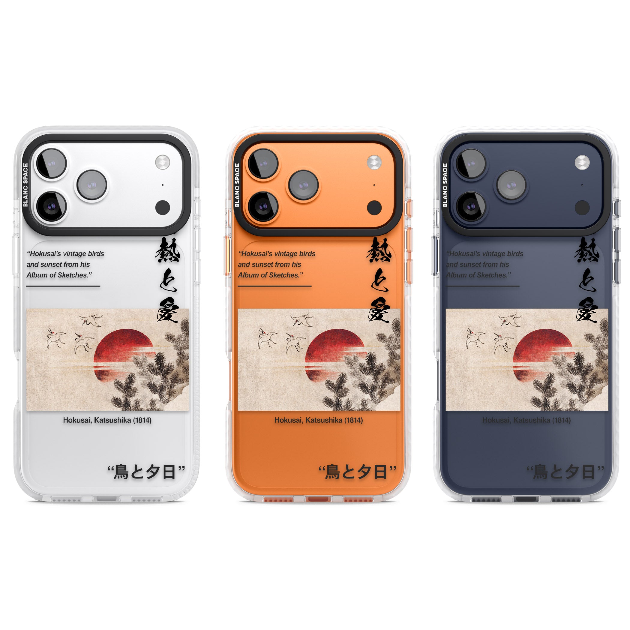 Birds And Sunset iPhone 17 Pro Impact Clear Phone Case APT Impact Protection