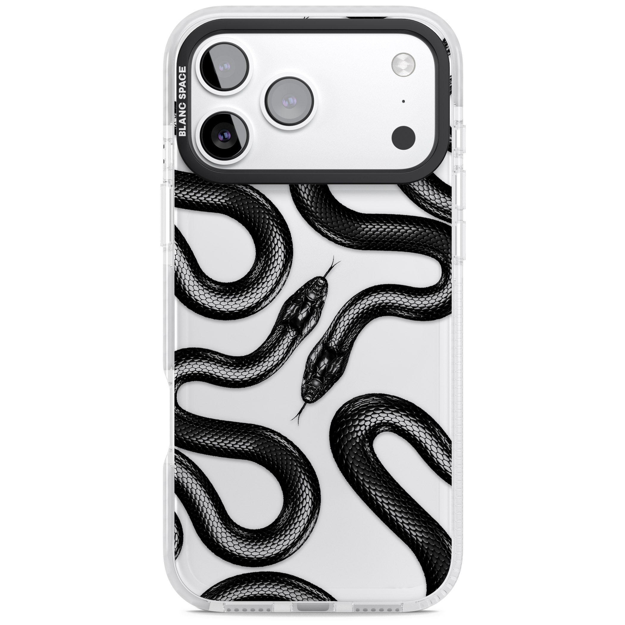 Black Kingsnake iPhone 17 Pro Max Impact Clear Phone Case
