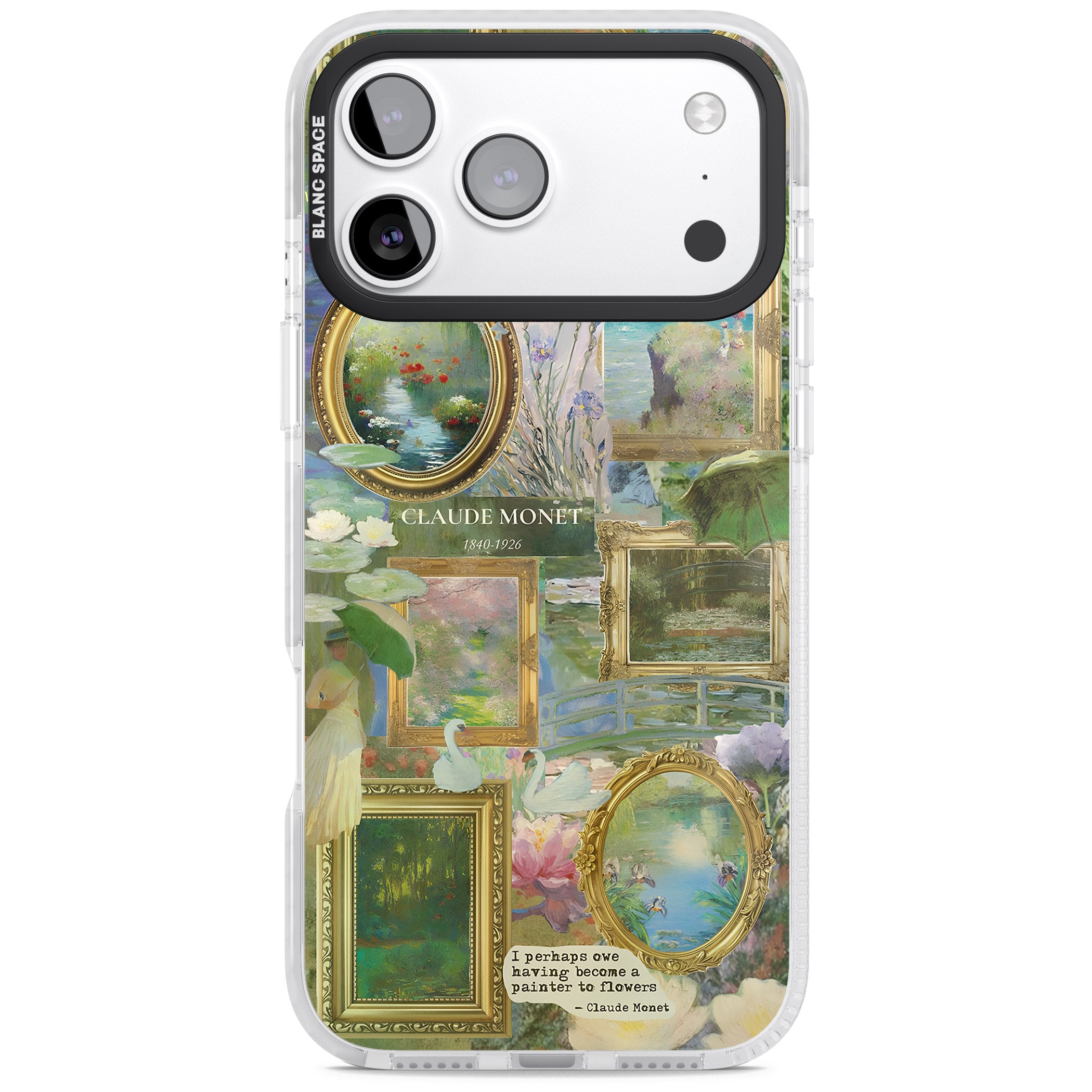 Vintage Floral Frames iPhone 17 Pro Impact Clear Phone Case