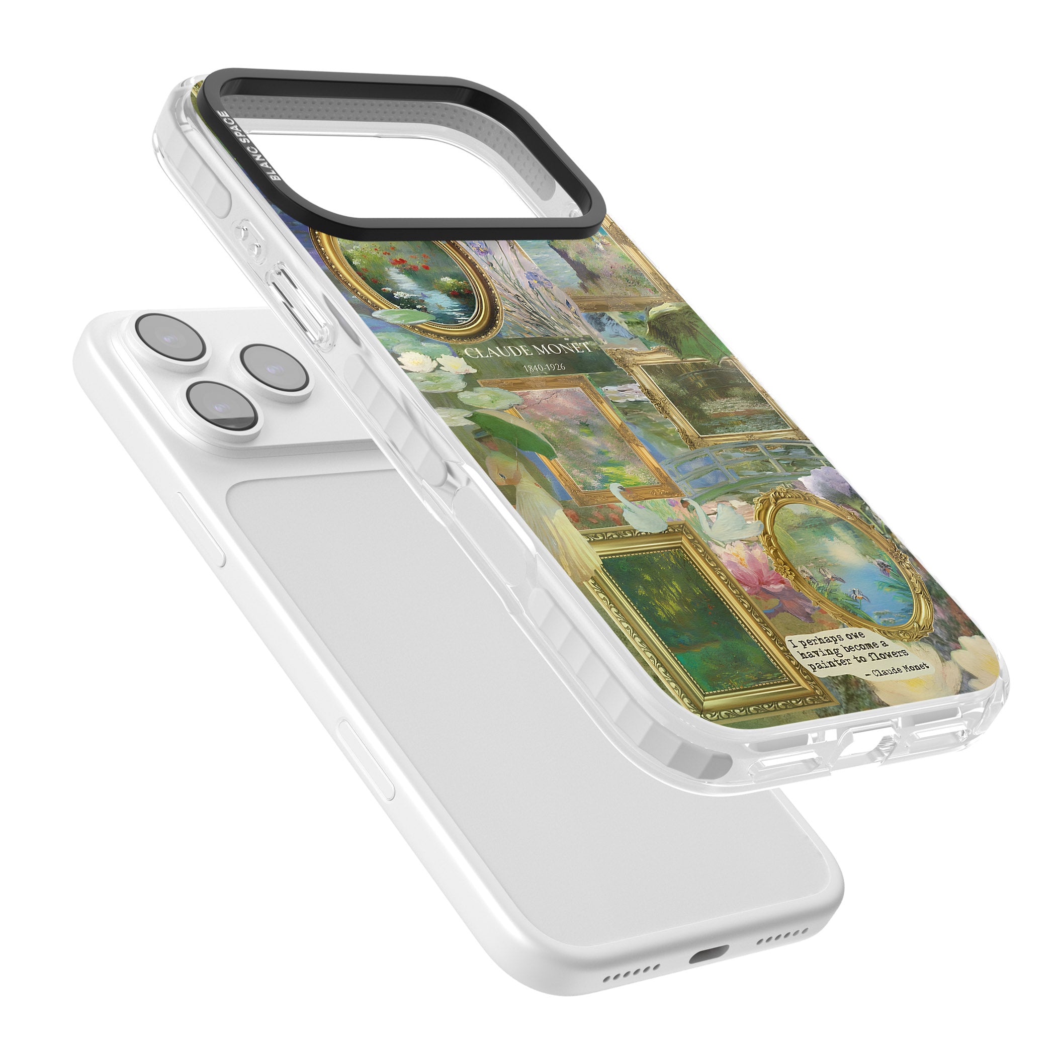 Vintage Floral Frames iPhone 17 Pro Impact Clear Phone Case Colours