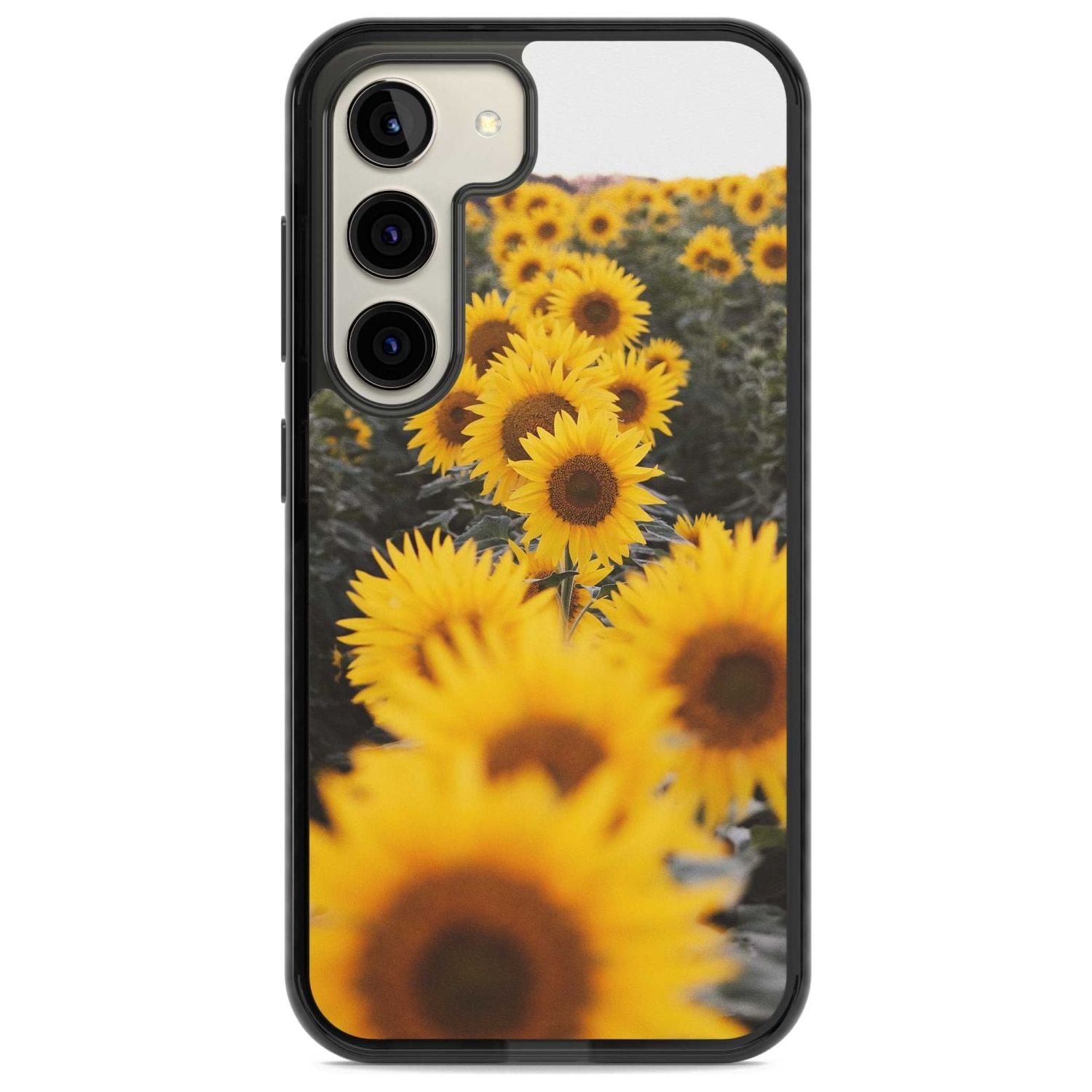 Sunflower Field
