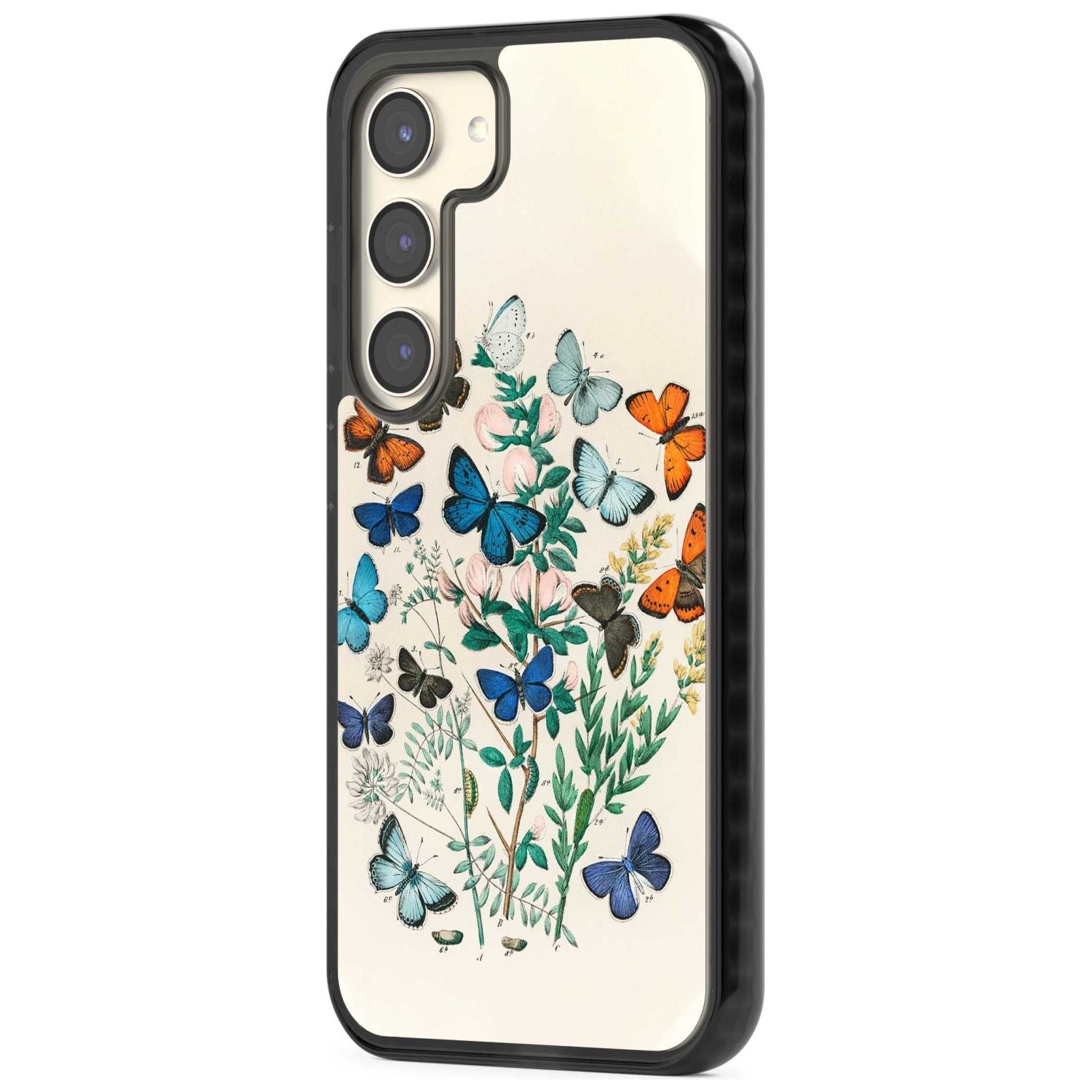 European Butterflies Phone Case iPhone 15 Pro Max / Black Impact Case,iPhone 15 Plus / Black Impact Case,iPhone 15 Pro / Black Impact Case,iPhone 15 / Black Impact Case,iPhone 15 Pro Max / Impact Case,iPhone 15 Plus / Impact Case,iPhone 15 Pro / Impact Case,iPhone 15 / Impact Case,iPhone 15 Pro Max / Magsafe Black Impact Case,iPhone 15 Plus / Magsafe Black Impact Case,iPhone 15 Pro / Magsafe Black Impact Case,iPhone 15 / Magsafe Black Impact Case,iPhone 14 Pro Max / Black Impact Case,iPhone 14 Plus / Black