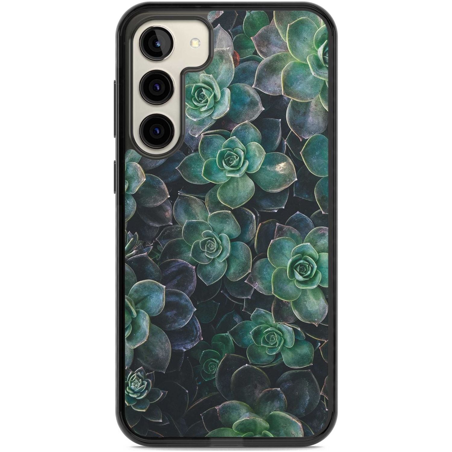 Succulent Bloom Botanical