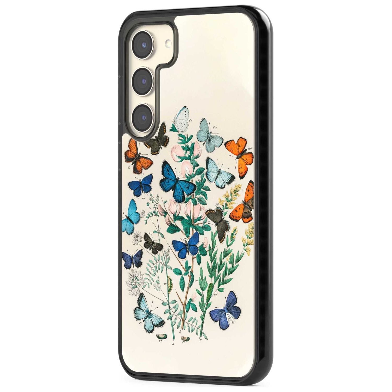 European Butterflies Phone Case iPhone 15 Pro Max / Black Impact Case,iPhone 15 Plus / Black Impact Case,iPhone 15 Pro / Black Impact Case,iPhone 15 / Black Impact Case,iPhone 15 Pro Max / Impact Case,iPhone 15 Plus / Impact Case,iPhone 15 Pro / Impact Case,iPhone 15 / Impact Case,iPhone 15 Pro Max / Magsafe Black Impact Case,iPhone 15 Plus / Magsafe Black Impact Case,iPhone 15 Pro / Magsafe Black Impact Case,iPhone 15 / Magsafe Black Impact Case,iPhone 14 Pro Max / Black Impact Case,iPhone 14 Plus / Black