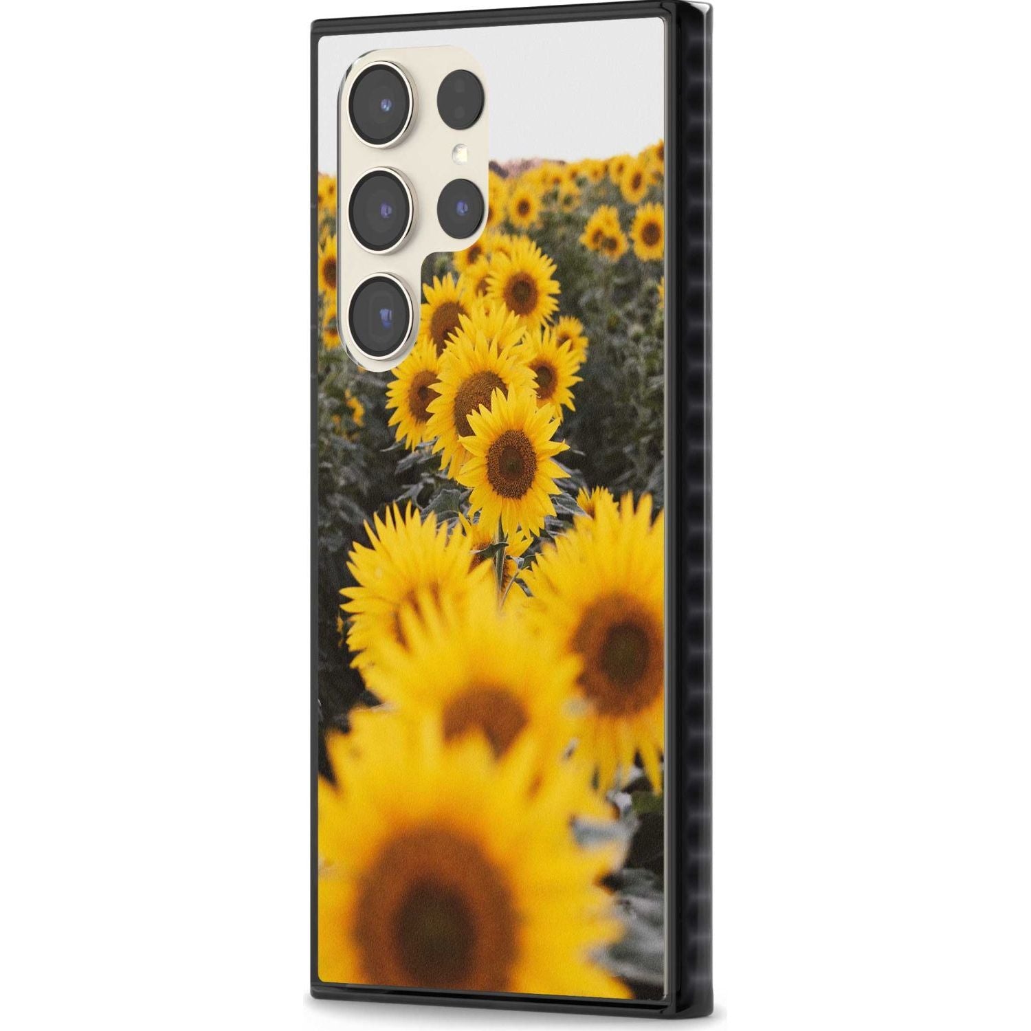 Sunflower Field