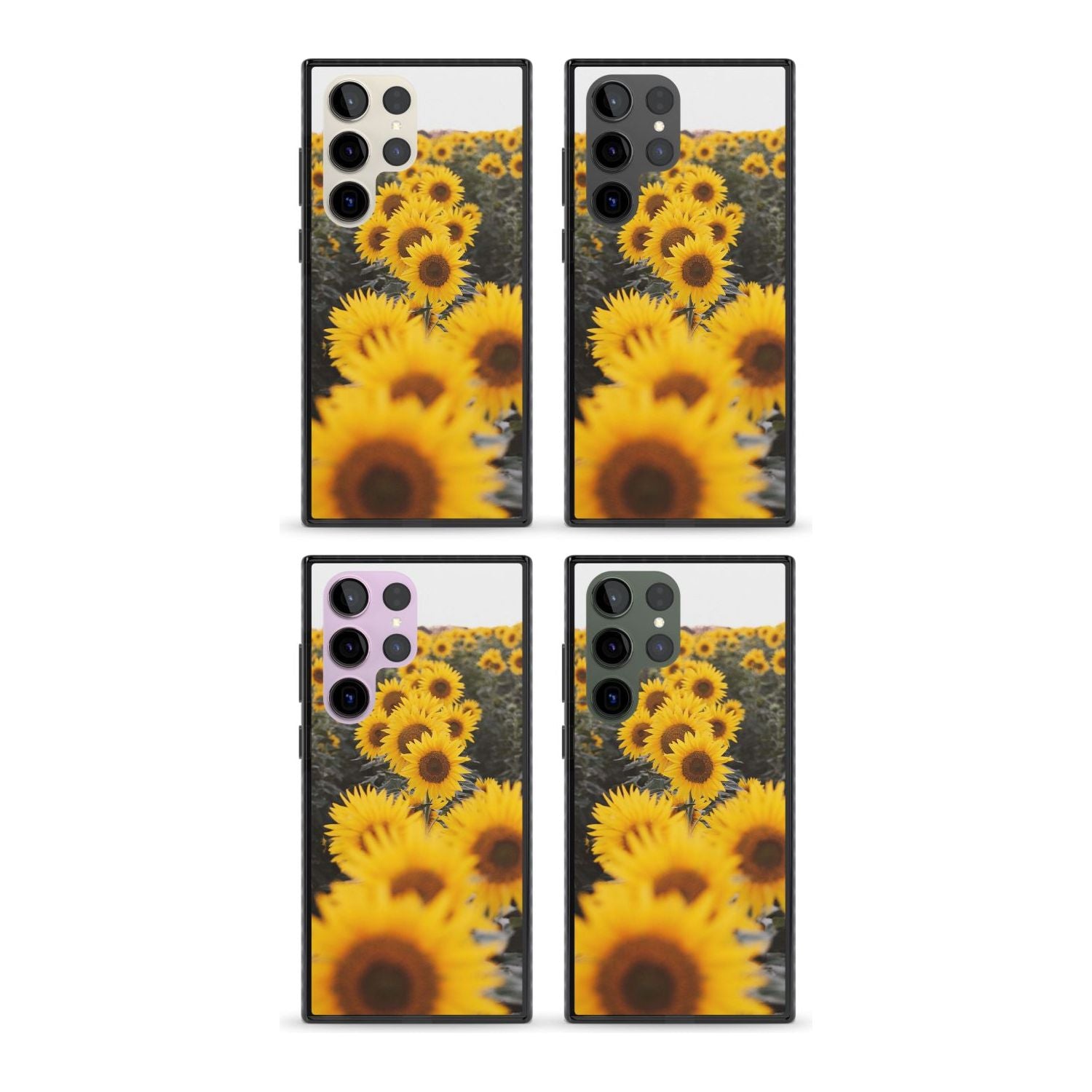 Sunflower Field
