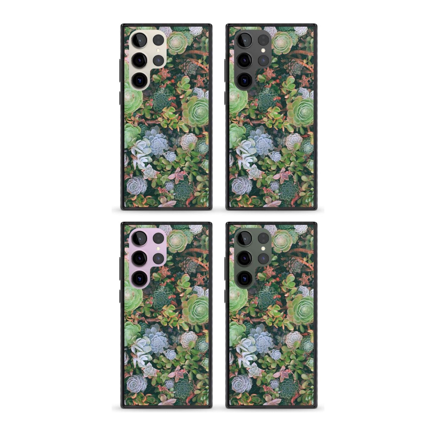 Colourful Succulents Phone Case iPhone 15 Pro Max / Black Impact Case,iPhone 15 Plus / Black Impact Case,iPhone 15 Pro / Black Impact Case,iPhone 15 / Black Impact Case,iPhone 15 Pro Max / Impact Case,iPhone 15 Plus / Impact Case,iPhone 15 Pro / Impact Case,iPhone 15 / Impact Case,iPhone 15 Pro Max / Magsafe Black Impact Case,iPhone 15 Plus / Magsafe Black Impact Case,iPhone 15 Pro / Magsafe Black Impact Case,iPhone 15 / Magsafe Black Impact Case,iPhone 14 Pro Max / Black Impact Case,iPhone 14 Plus / Black