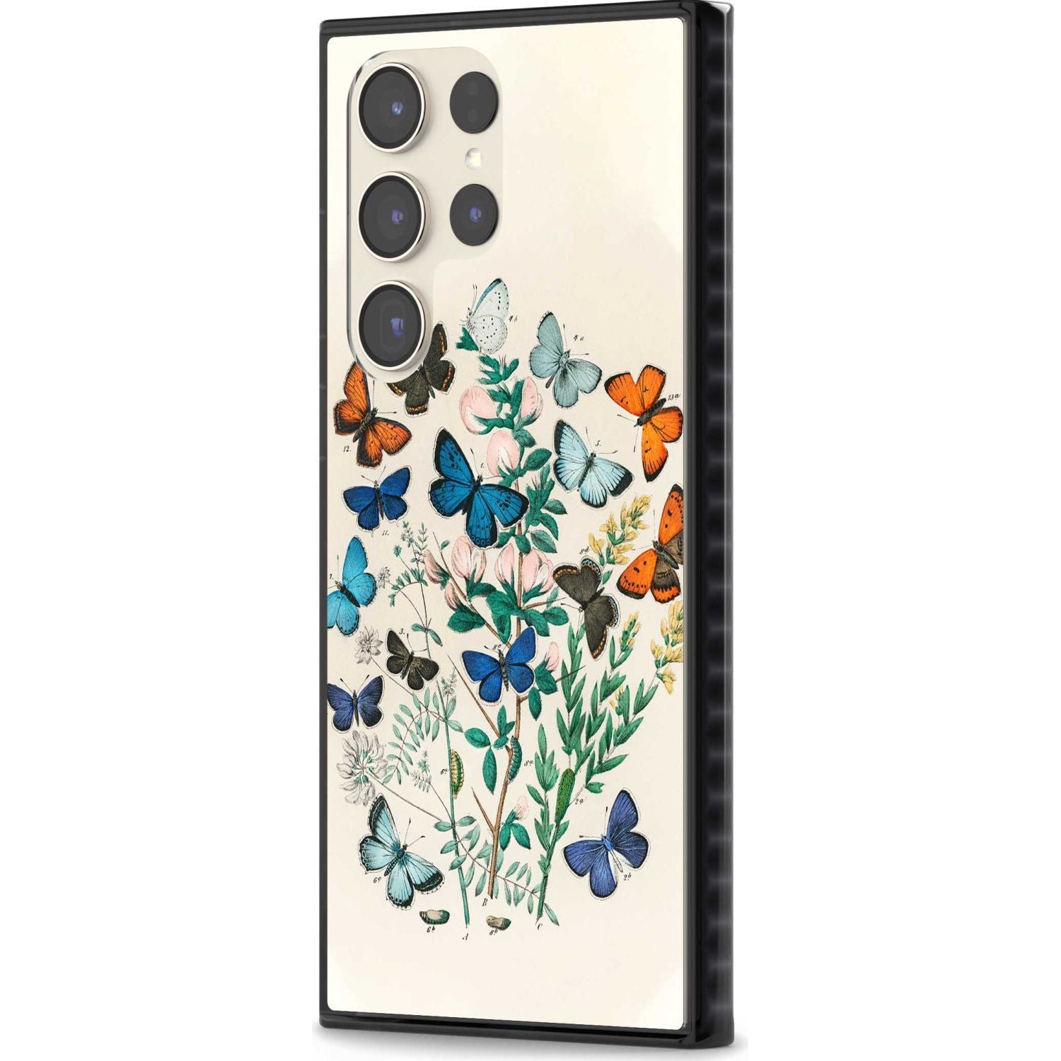 European Butterflies Phone Case iPhone 15 Pro Max / Black Impact Case,iPhone 15 Plus / Black Impact Case,iPhone 15 Pro / Black Impact Case,iPhone 15 / Black Impact Case,iPhone 15 Pro Max / Impact Case,iPhone 15 Plus / Impact Case,iPhone 15 Pro / Impact Case,iPhone 15 / Impact Case,iPhone 15 Pro Max / Magsafe Black Impact Case,iPhone 15 Plus / Magsafe Black Impact Case,iPhone 15 Pro / Magsafe Black Impact Case,iPhone 15 / Magsafe Black Impact Case,iPhone 14 Pro Max / Black Impact Case,iPhone 14 Plus / Black